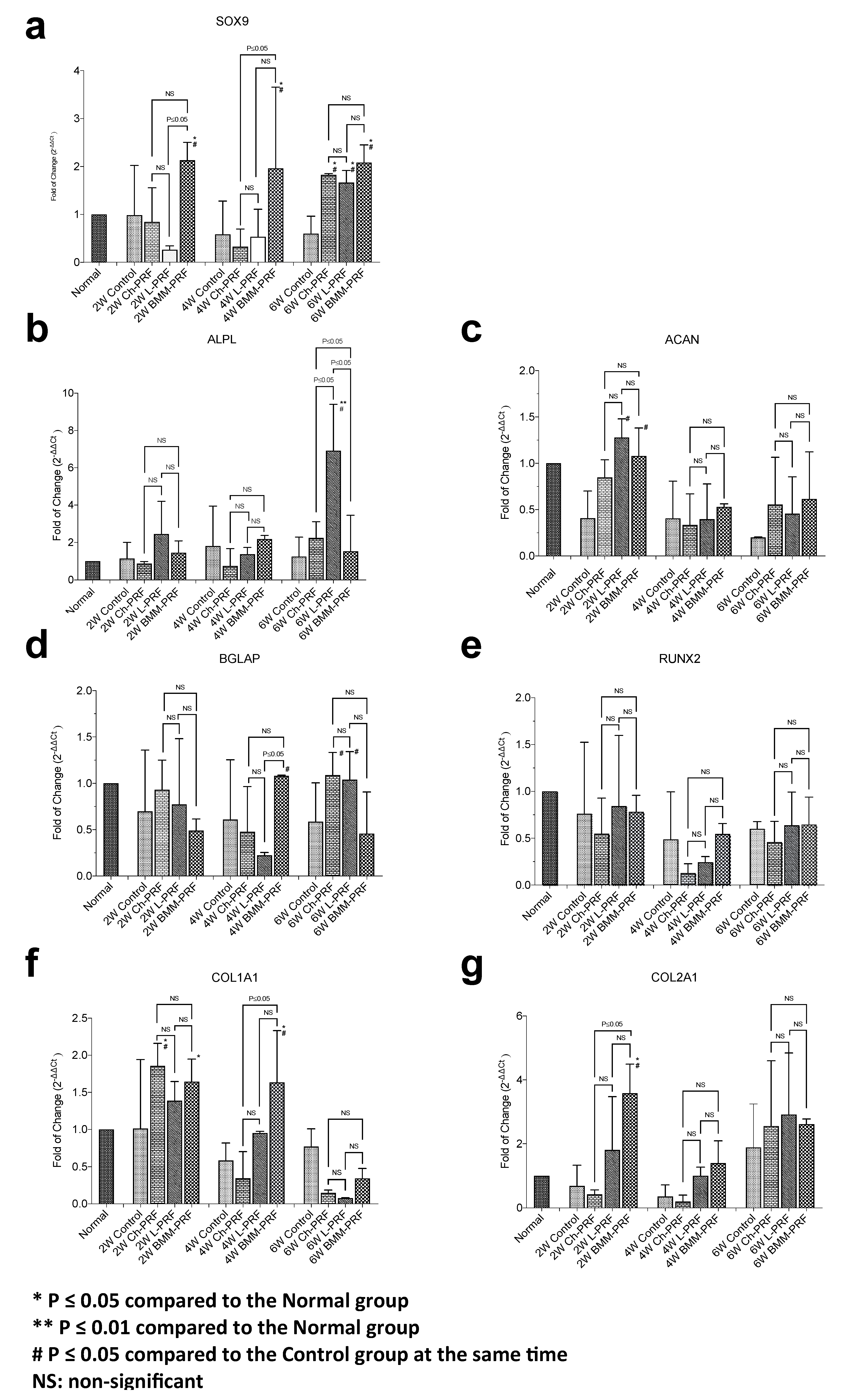 Bioengineering 10 00661 g002 Bioengineering 10 00661 g002