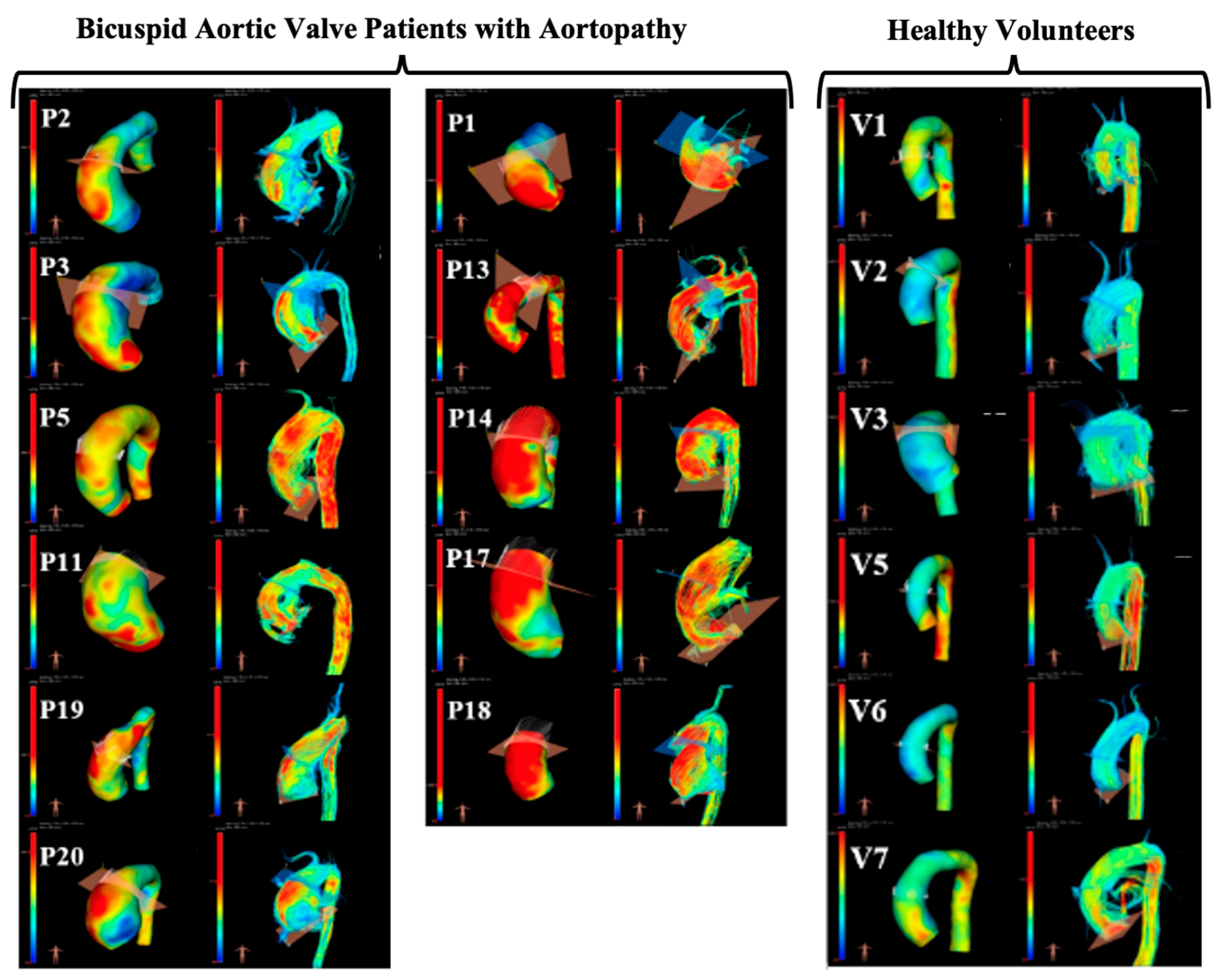Bioengineering 10 00662 g002