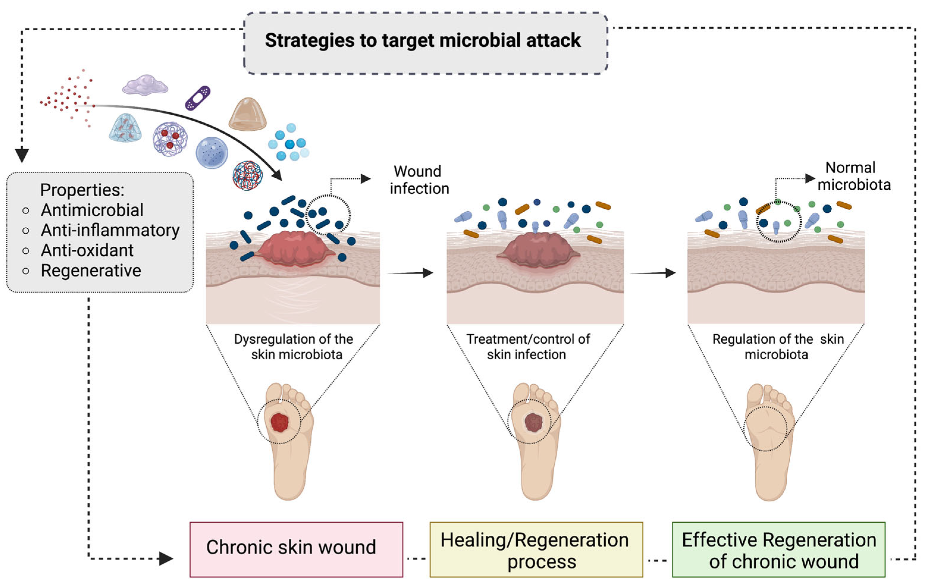 Bioengineering 10 00666 g001