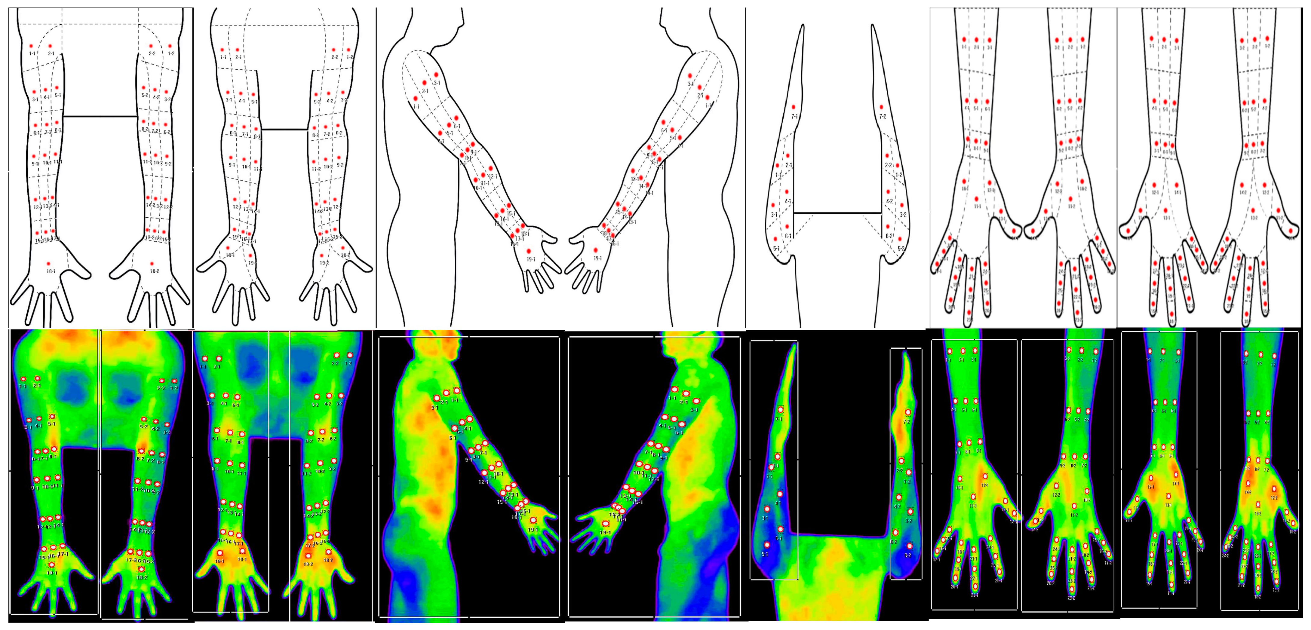 Bioengineering 10 00671 g001