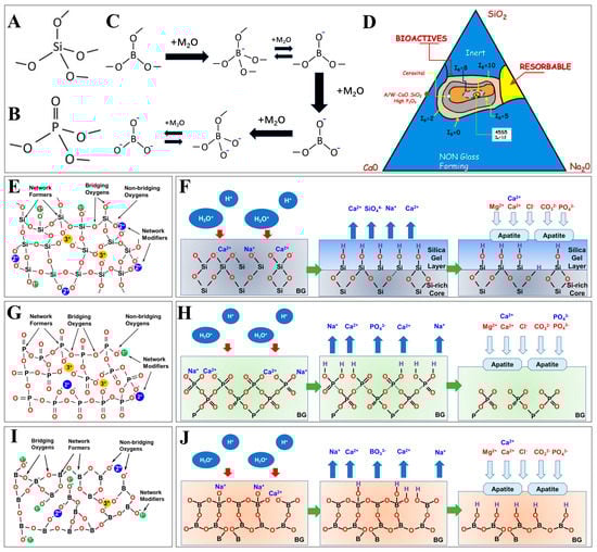 Bioengineering 10 00672 g001