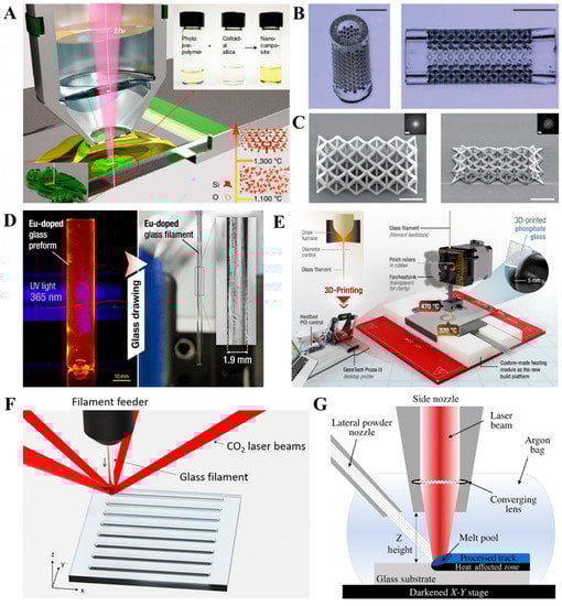 Bioengineering 10 00672 g008