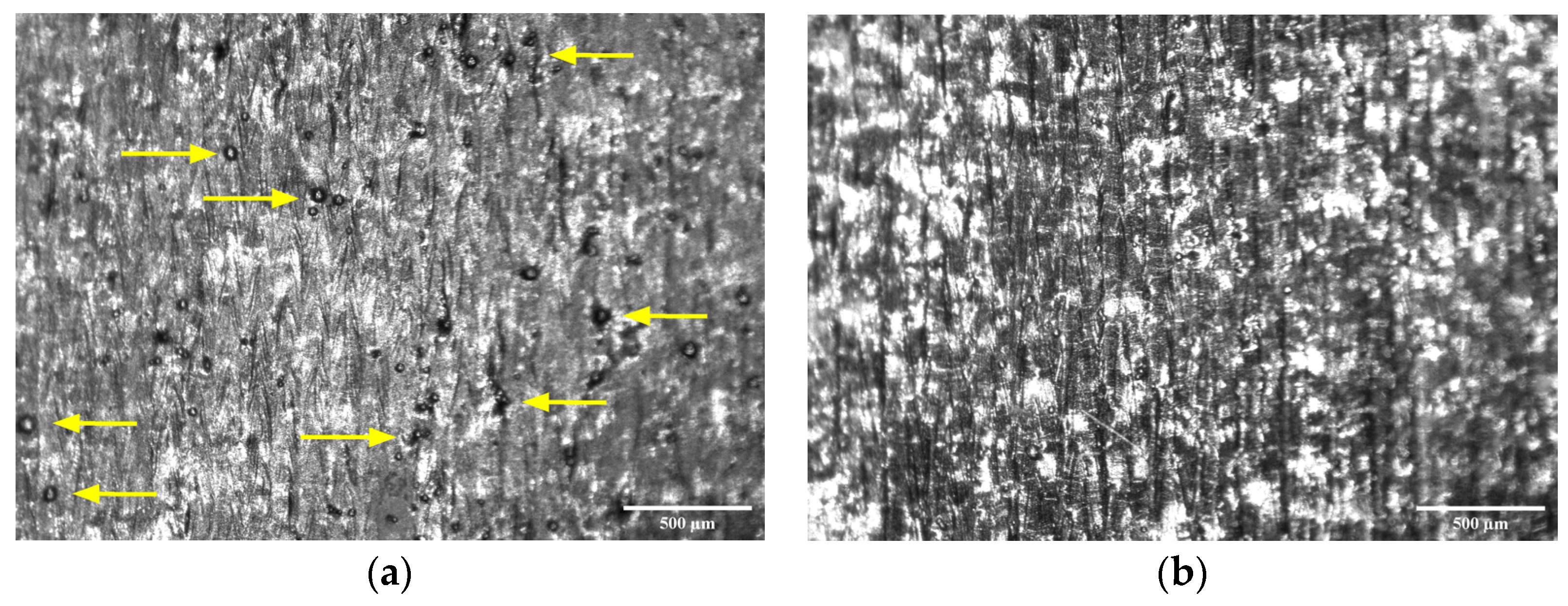 Bioengineering 10 00675 g009 Bioengineering 10 00675 g009