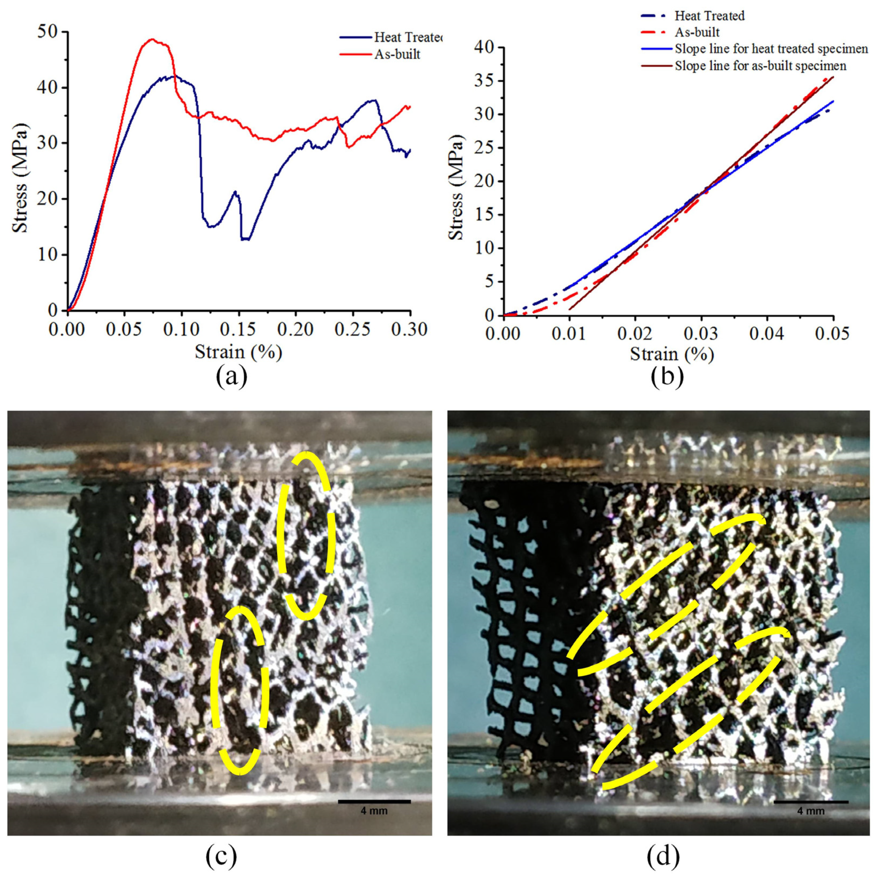 Bioengineering 10 00675 g013 Bioengineering 10 00675 g013