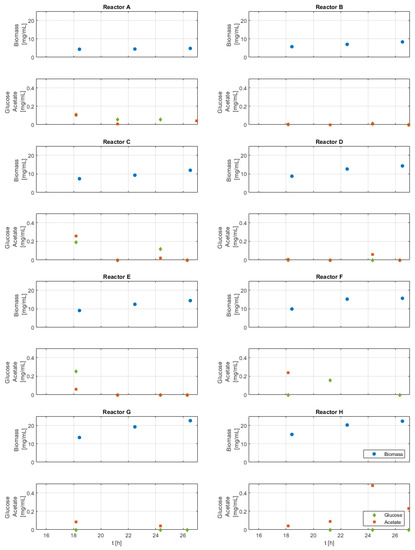 Bioengineering 10 00681 g0a1