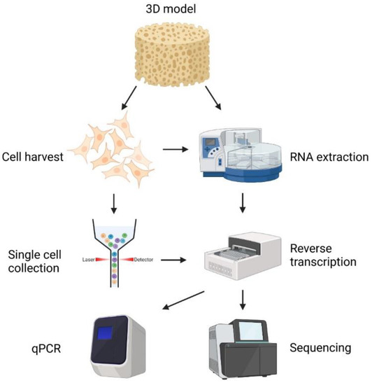Bioengineering 10 00682 g006
