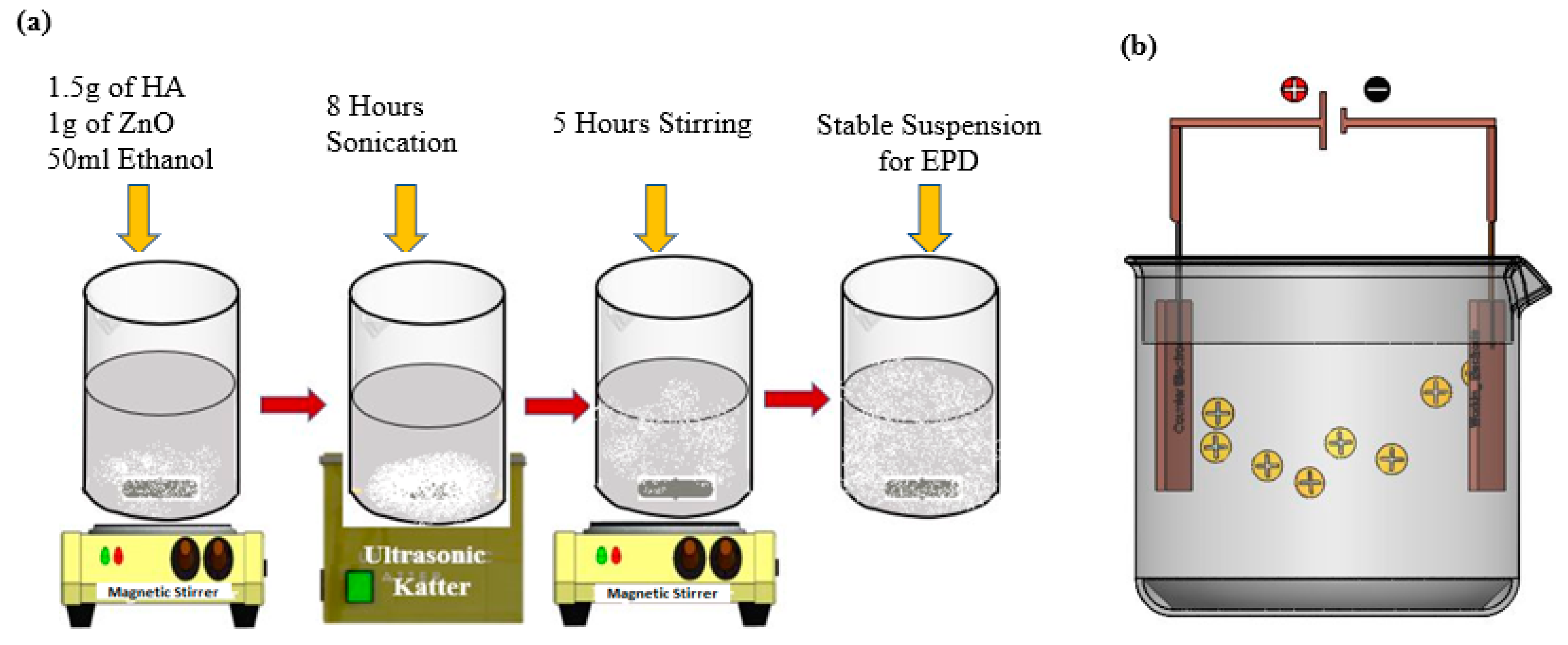 Bioengineering 10 00693 g001