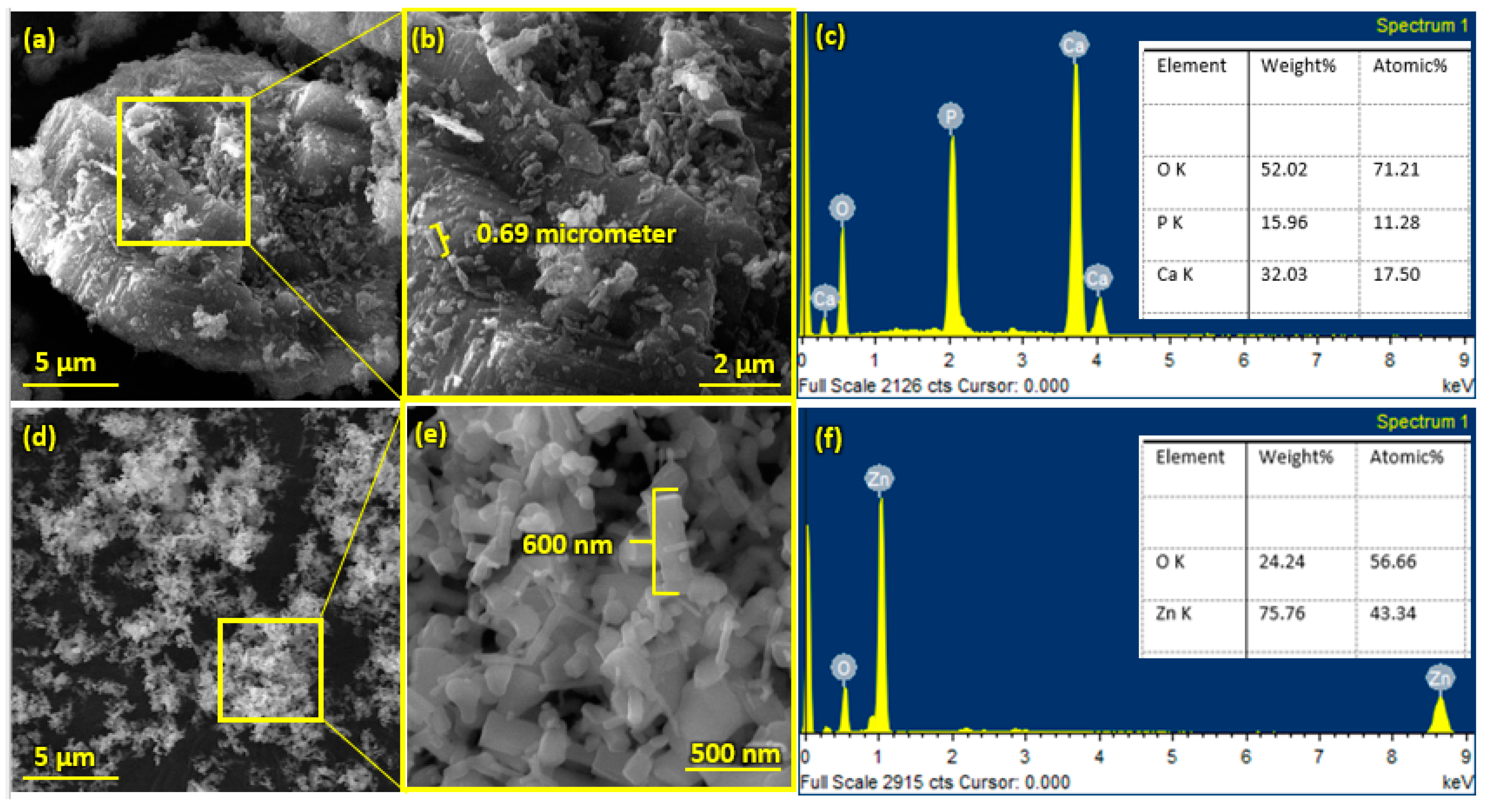 Bioengineering 10 00693 g002