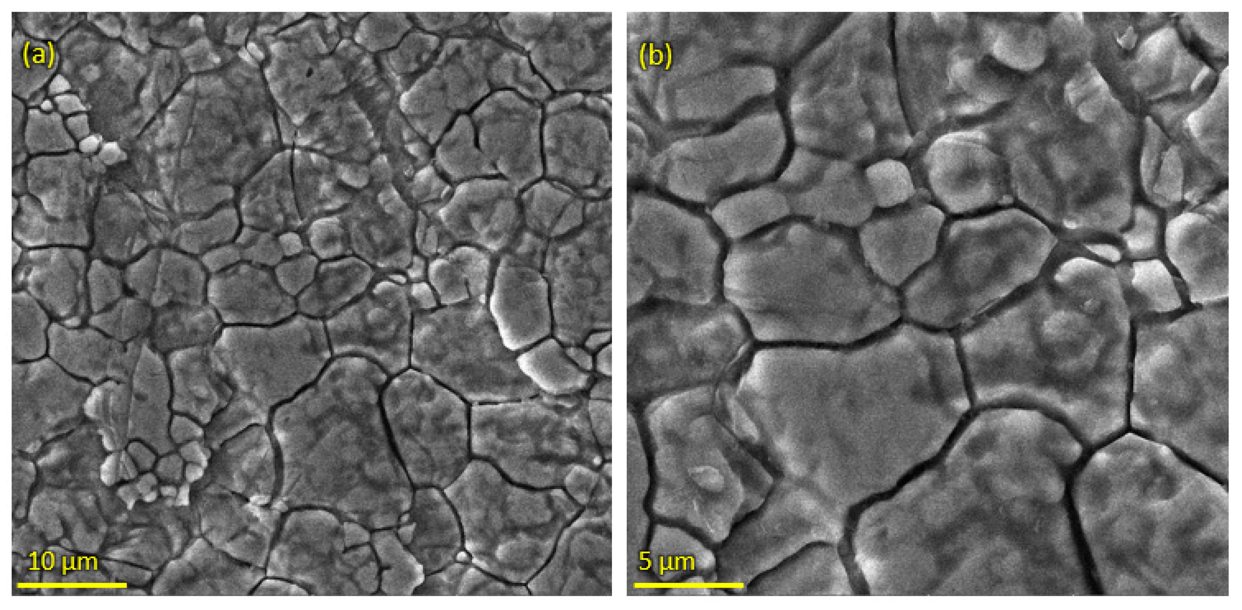 Bioengineering 10 00693 g003
