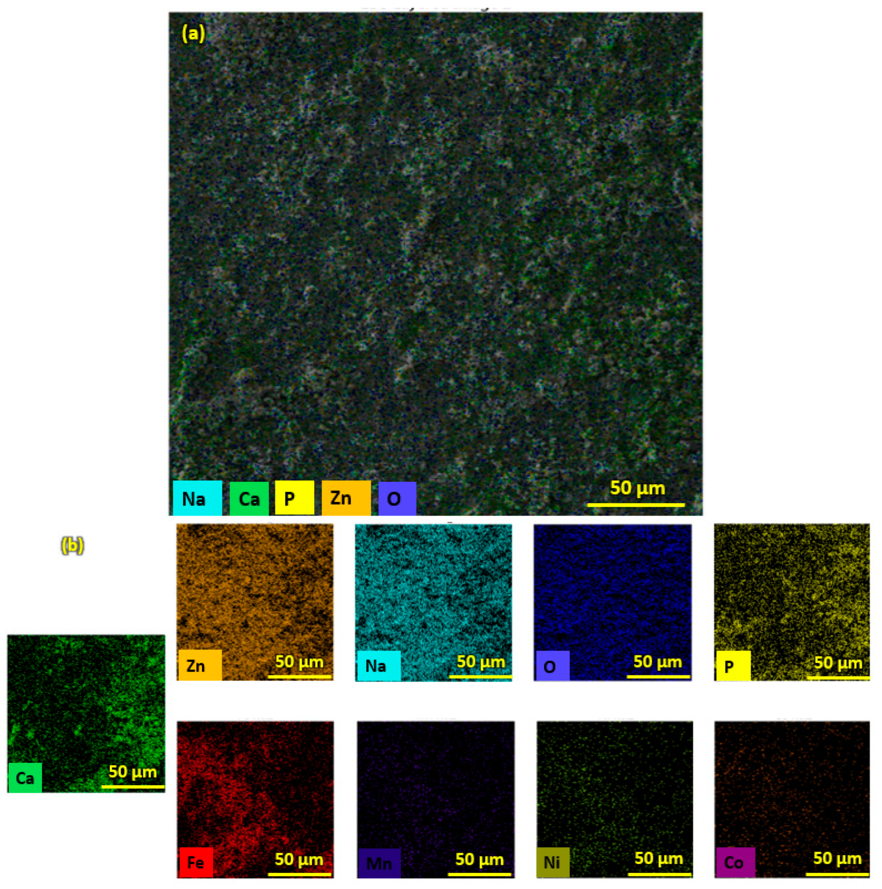 Bioengineering 10 00693 g006