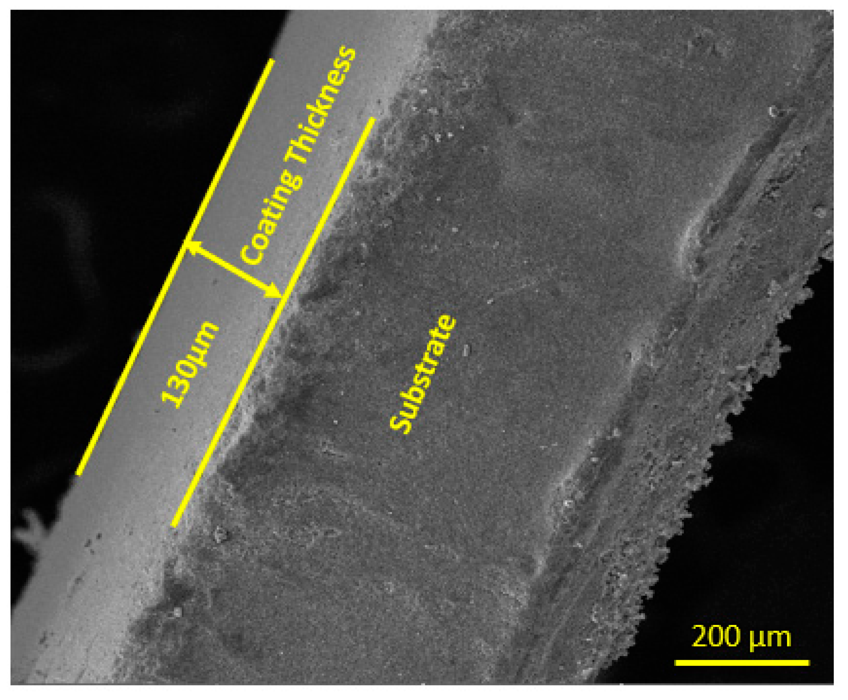 Bioengineering 10 00693 g008