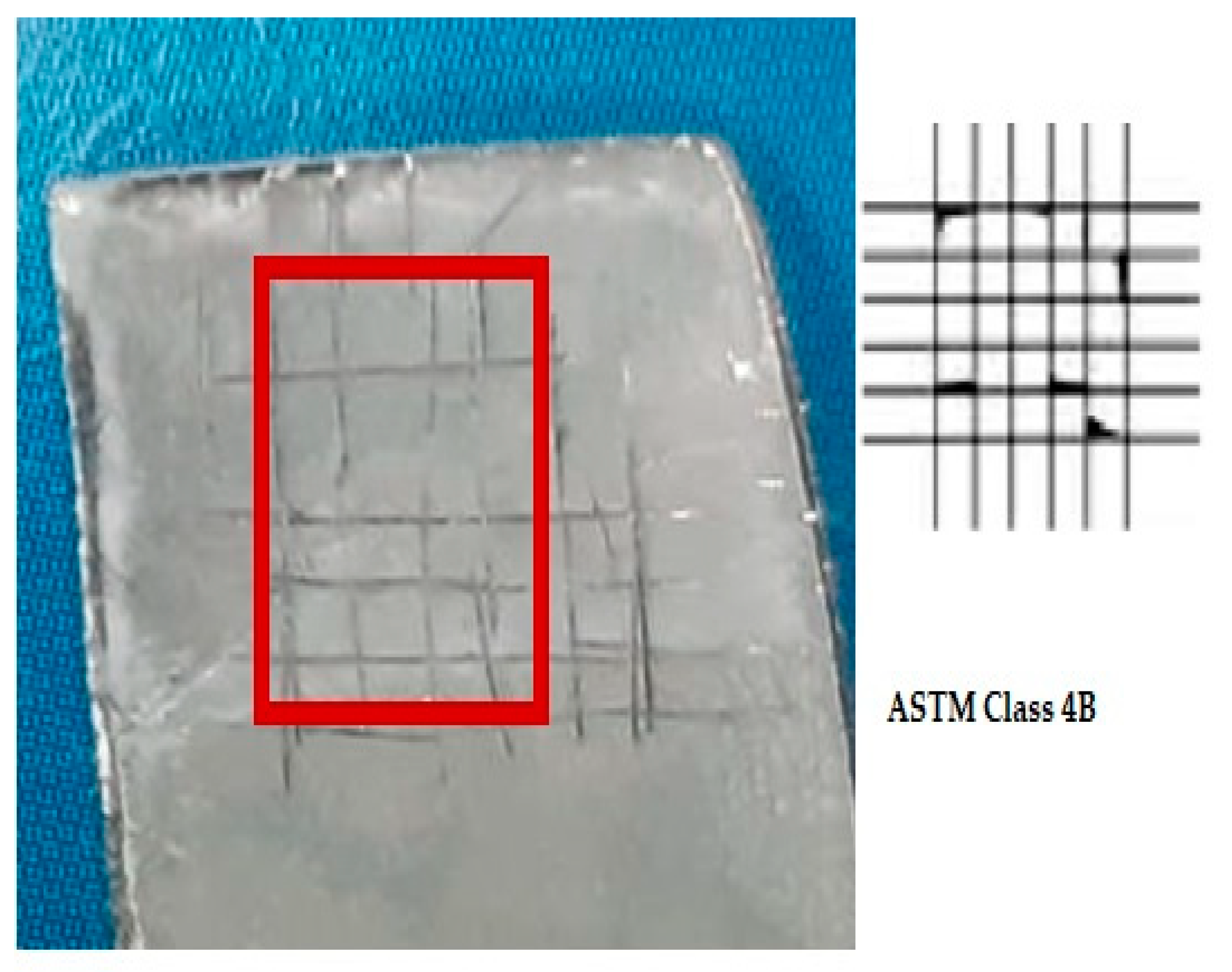Bioengineering 10 00693 g012