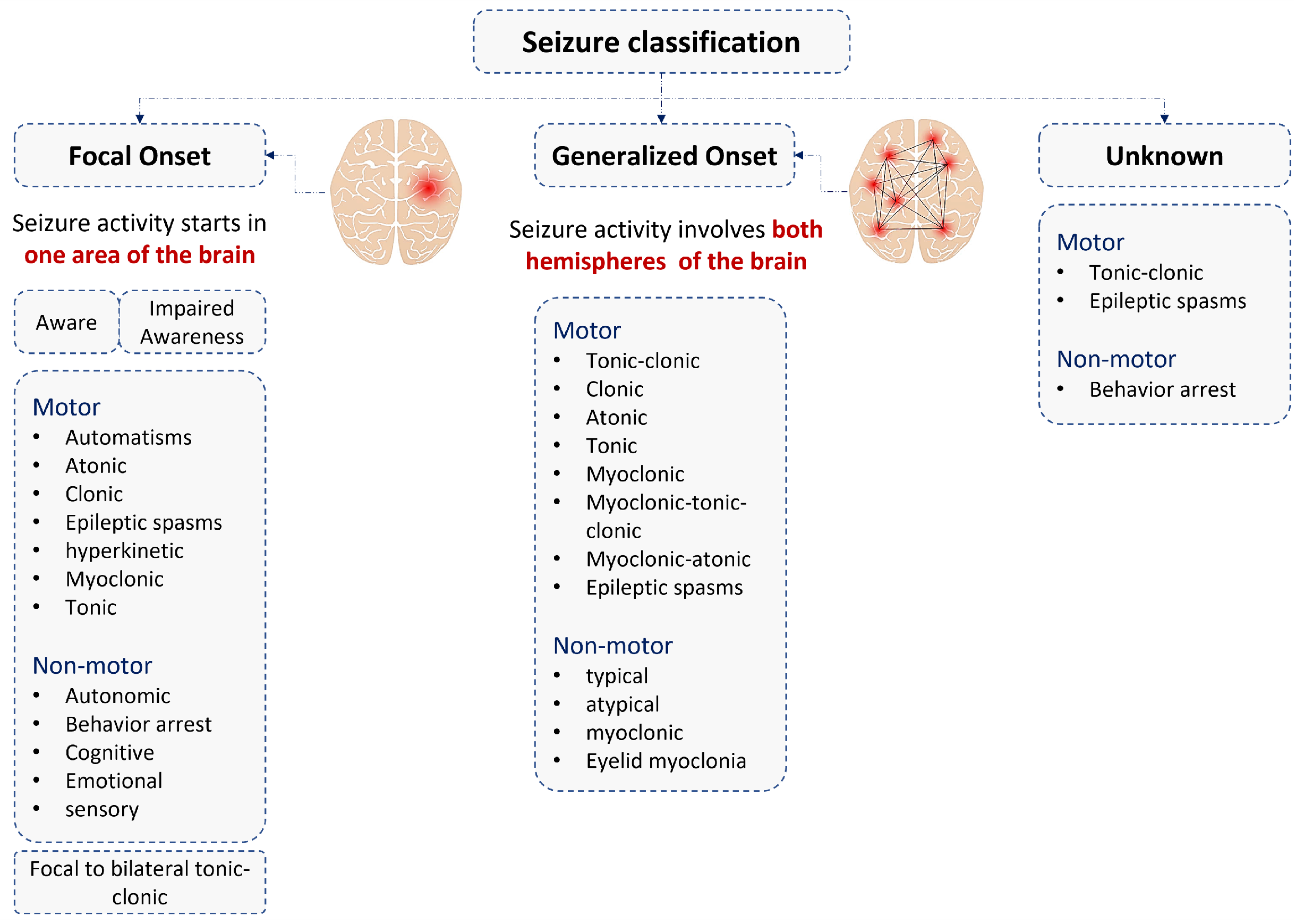 Bioengineering 10 00703 g001