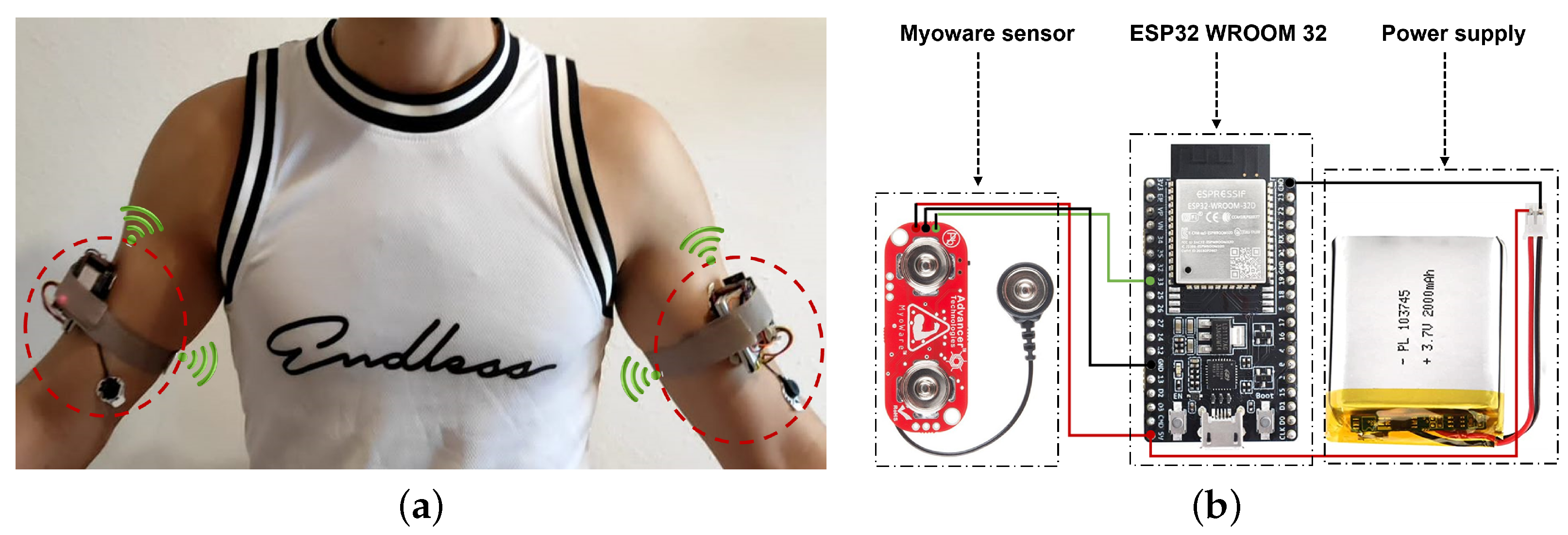 Bioengineering 10 00703 g003