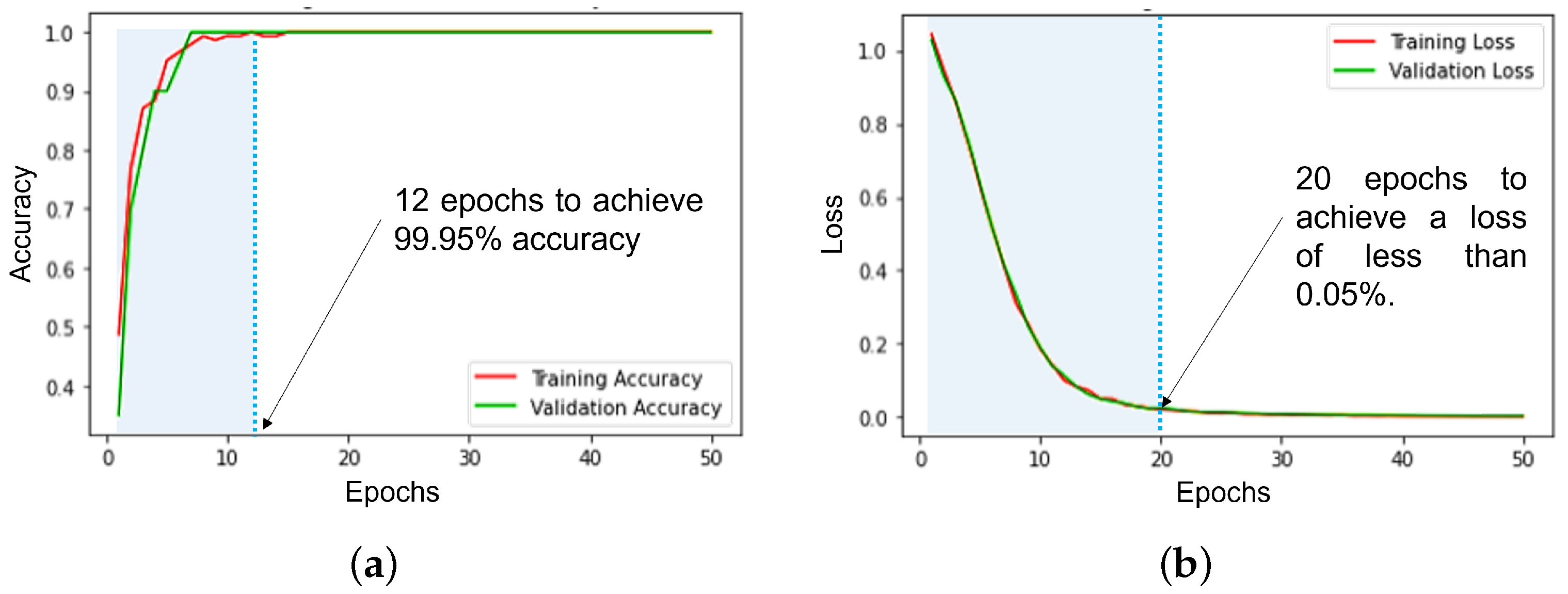 Bioengineering 10 00703 g009