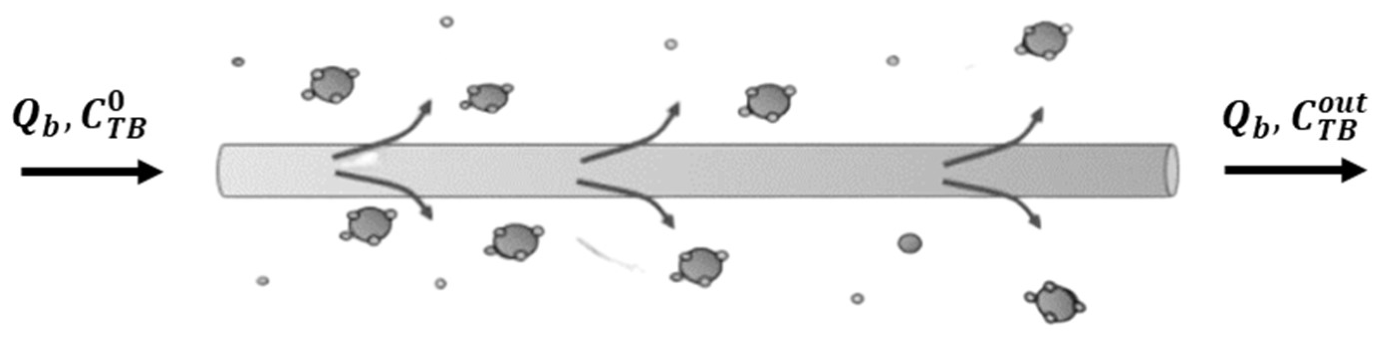 Bioengineering 10 00706 g001 Bioengineering 10 00706 g001