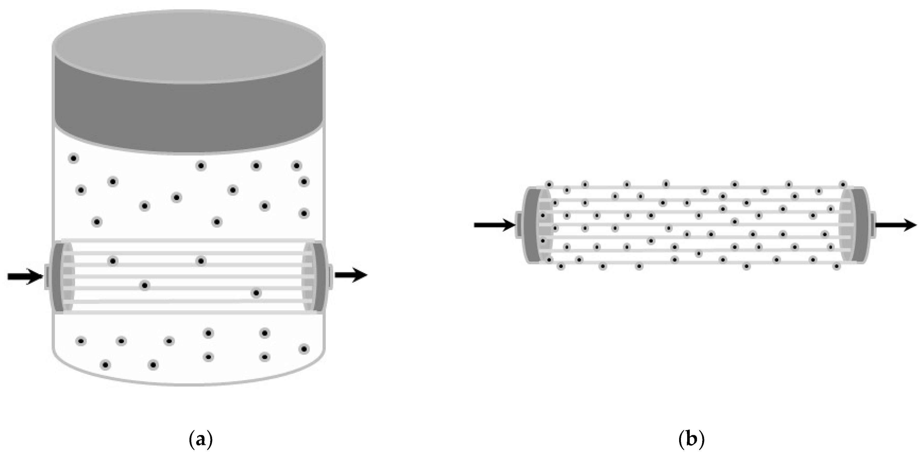 Bioengineering 10 00706 g003 Bioengineering 10 00706 g003