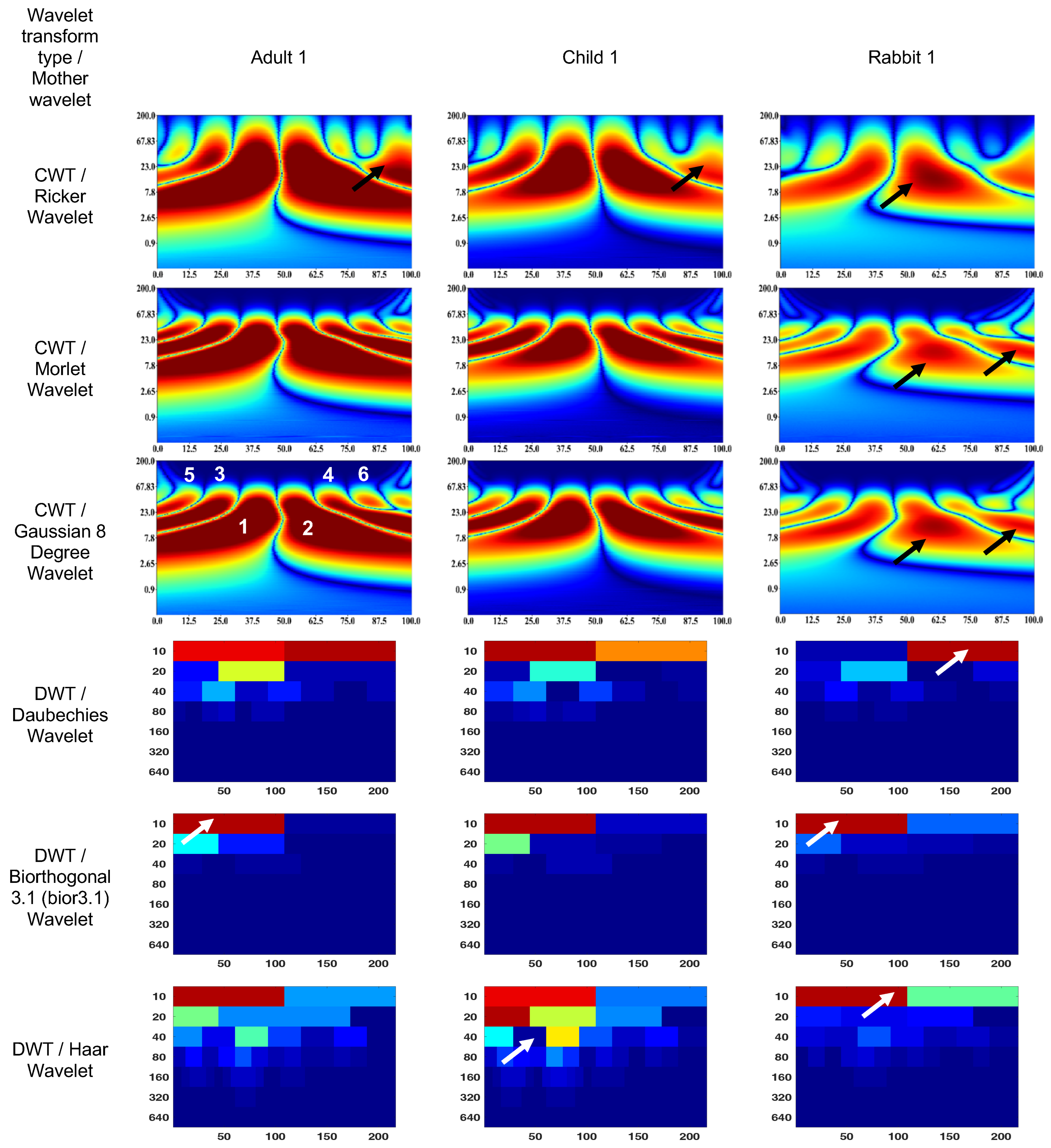 Bioengineering 10 00708 g004