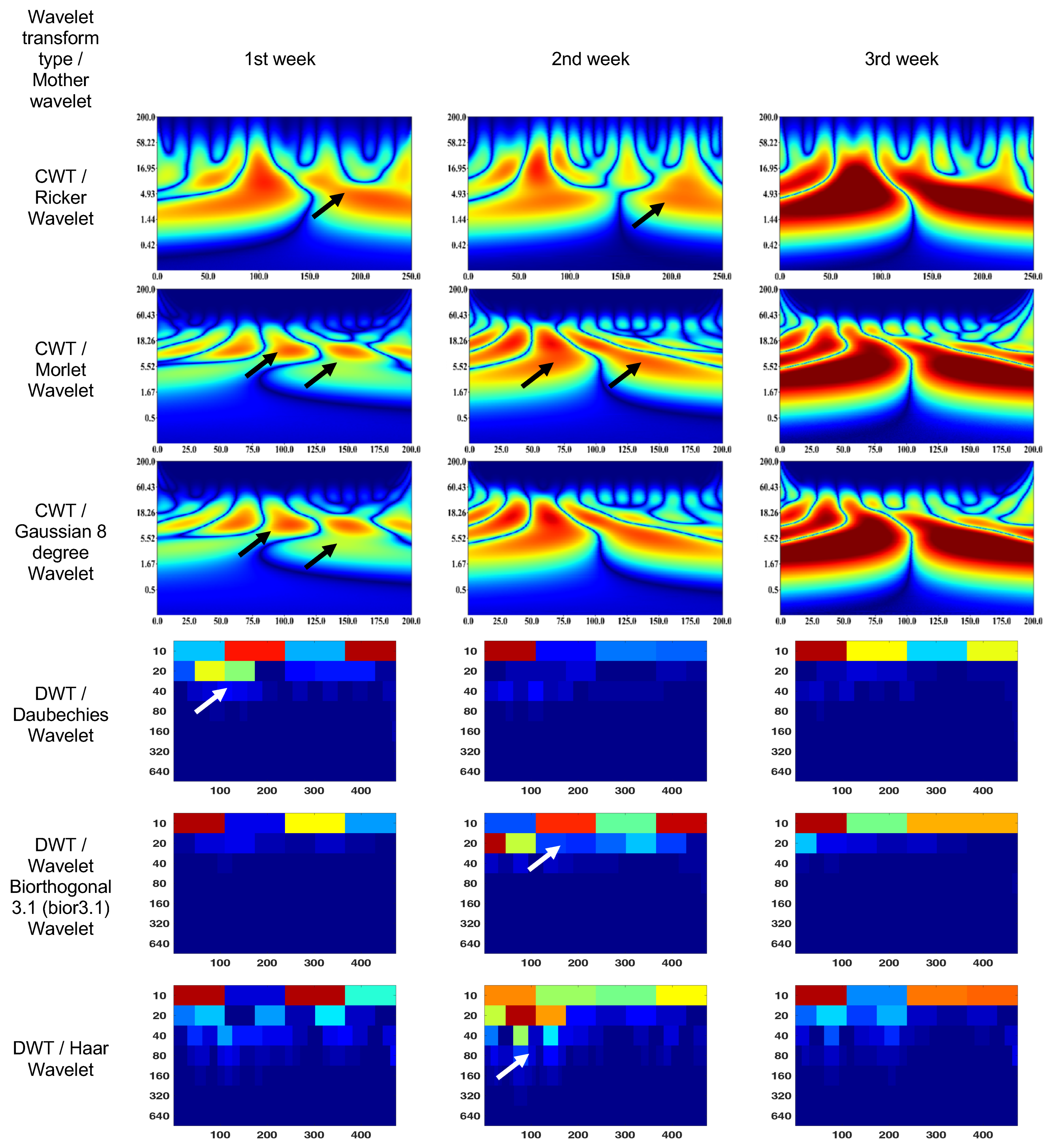Bioengineering 10 00708 g006