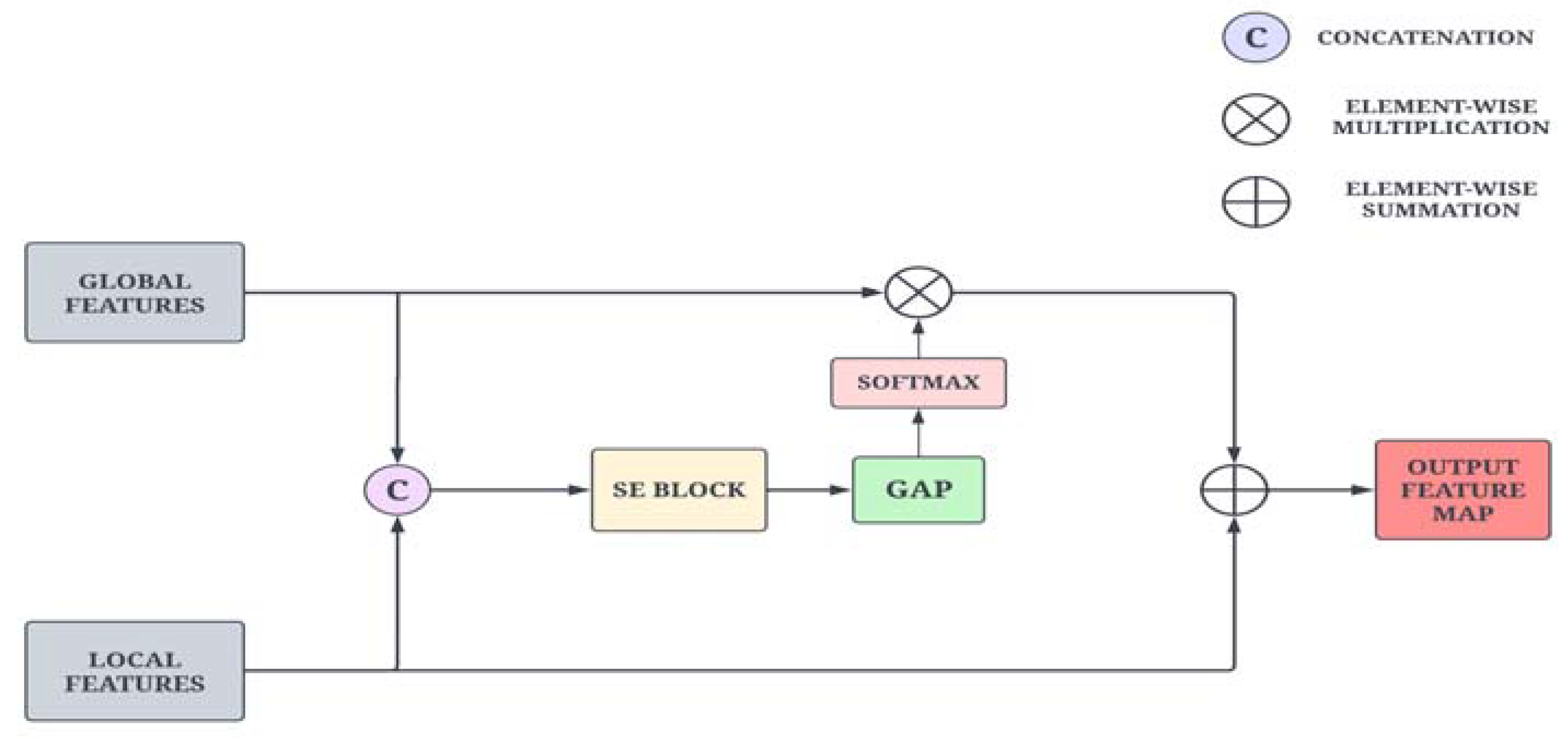 Bioengineering 10 00714 g005