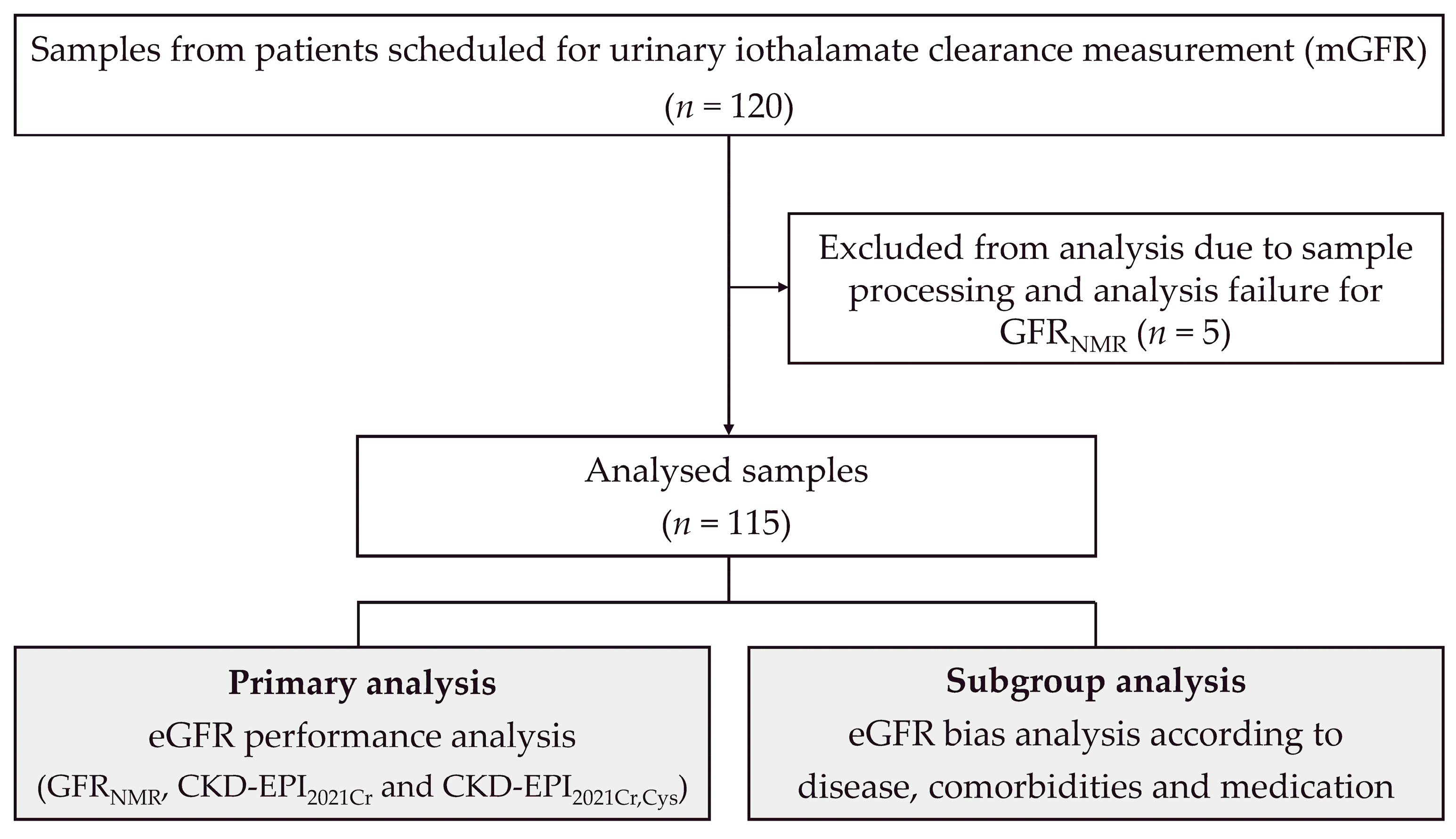 Bioengineering 10 00717 g001