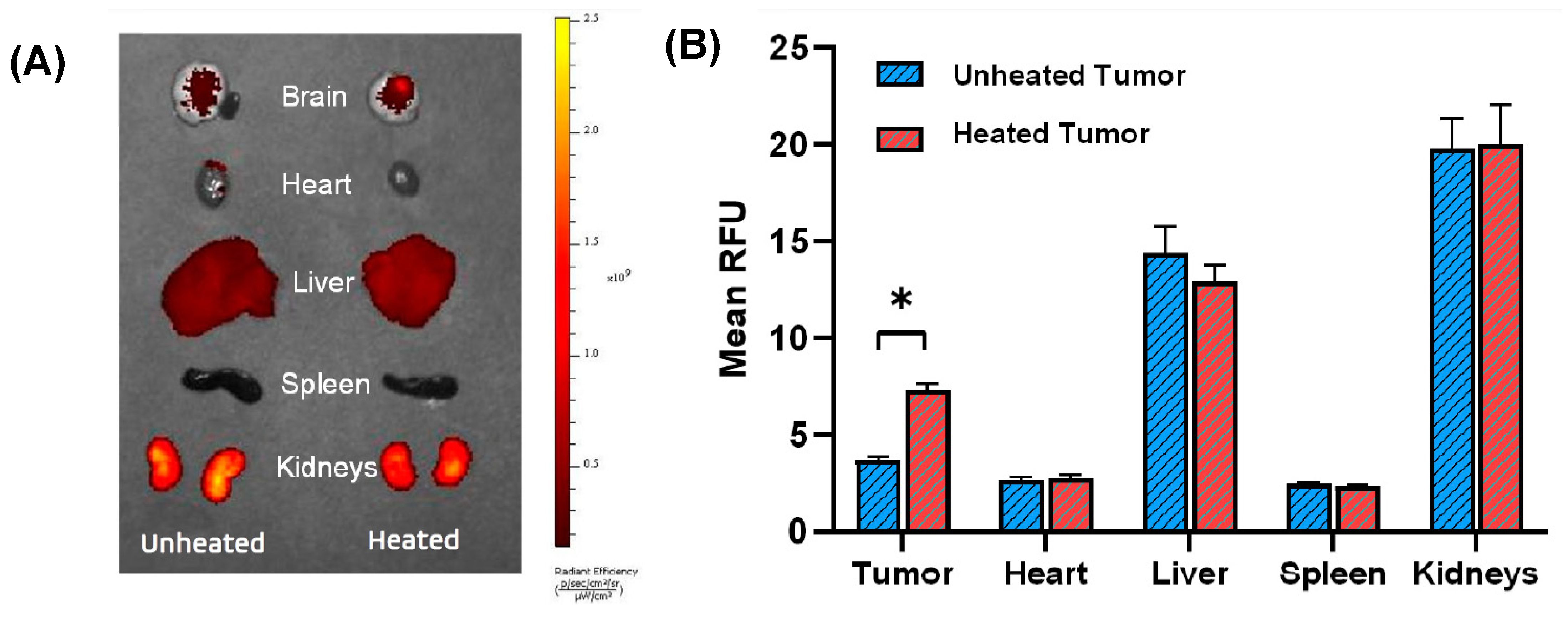 Bioengineering 10 00718 g003