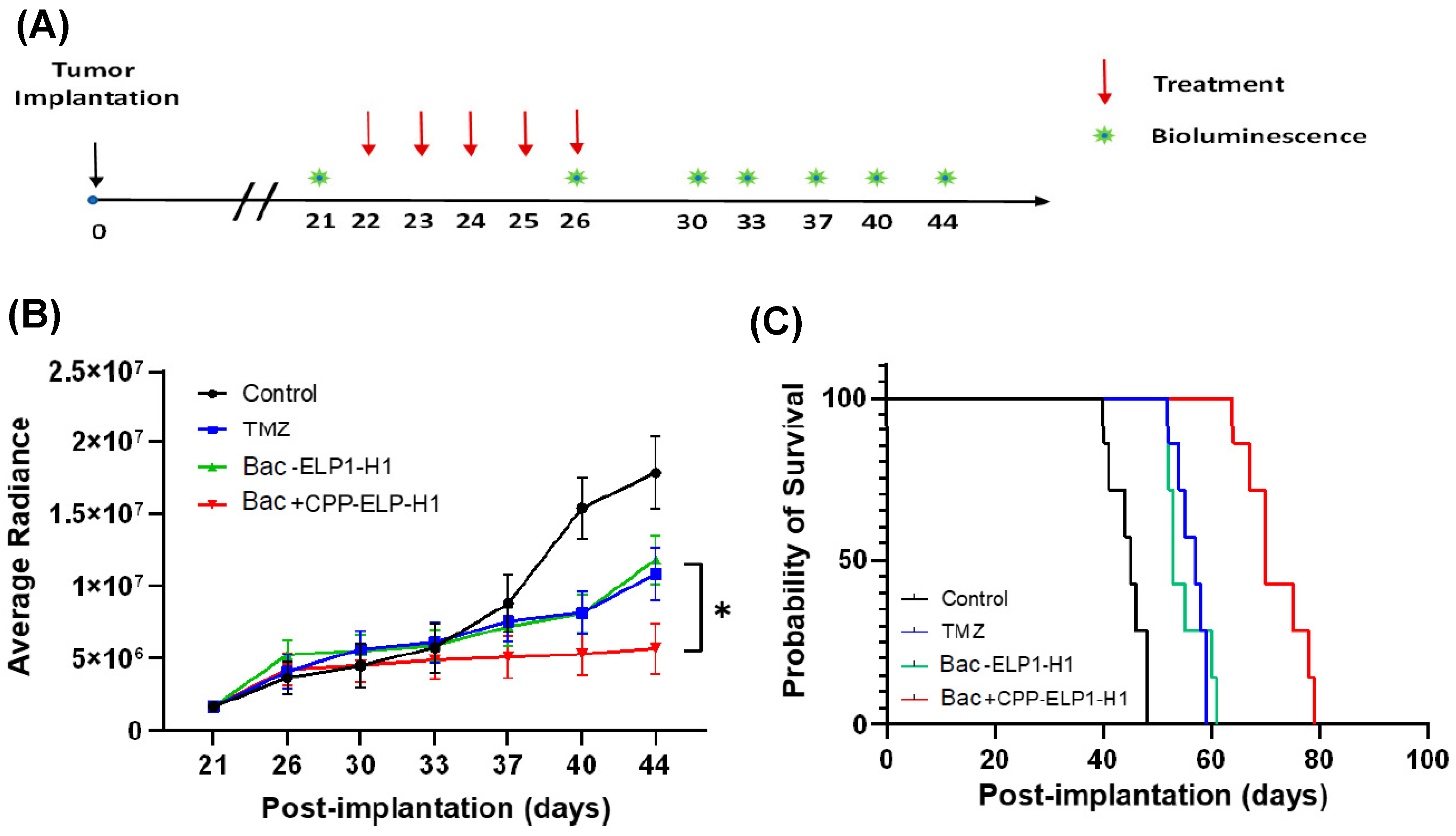 Bioengineering 10 00718 g004