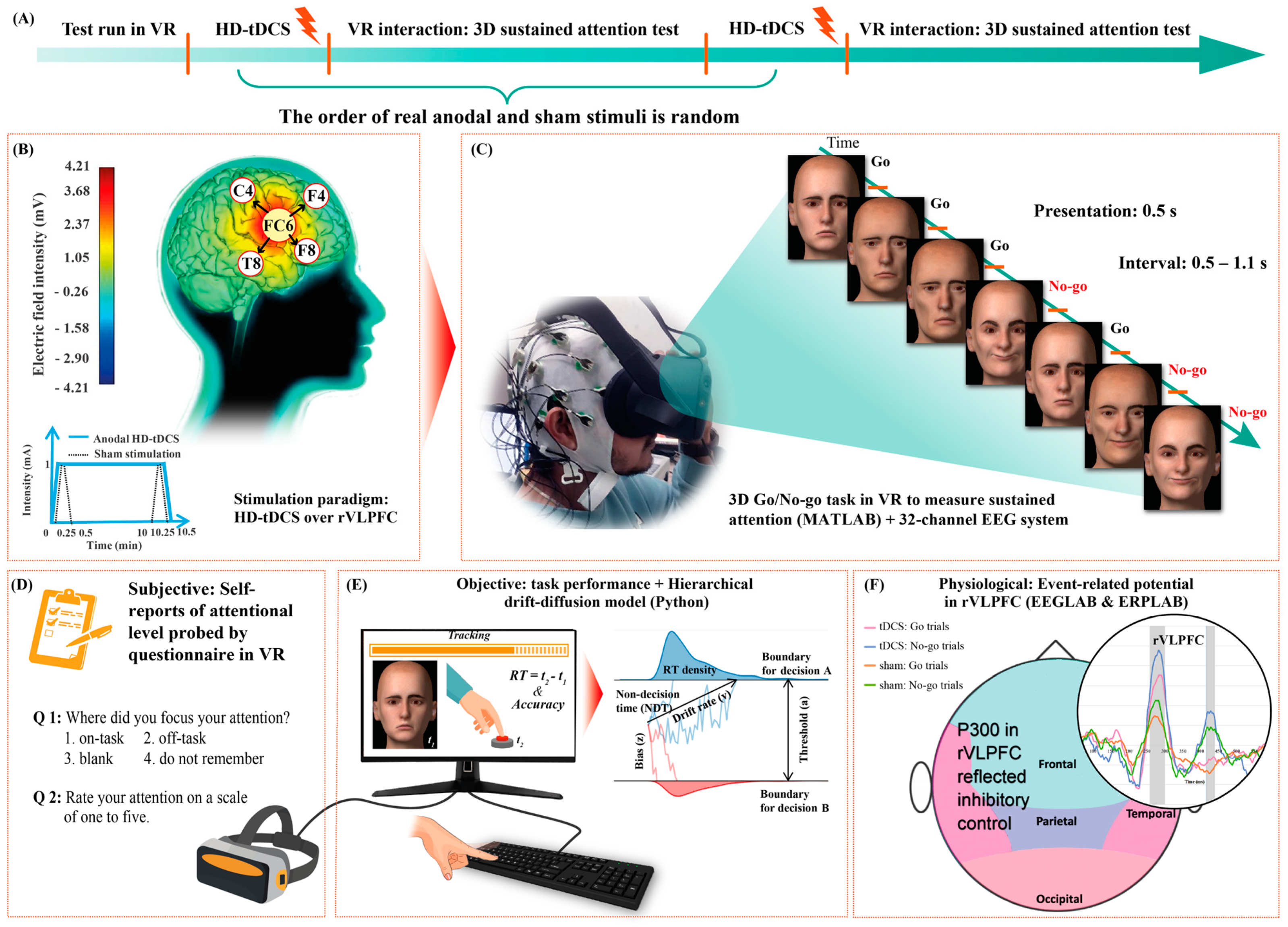 Bioengineering 10 00721 g001