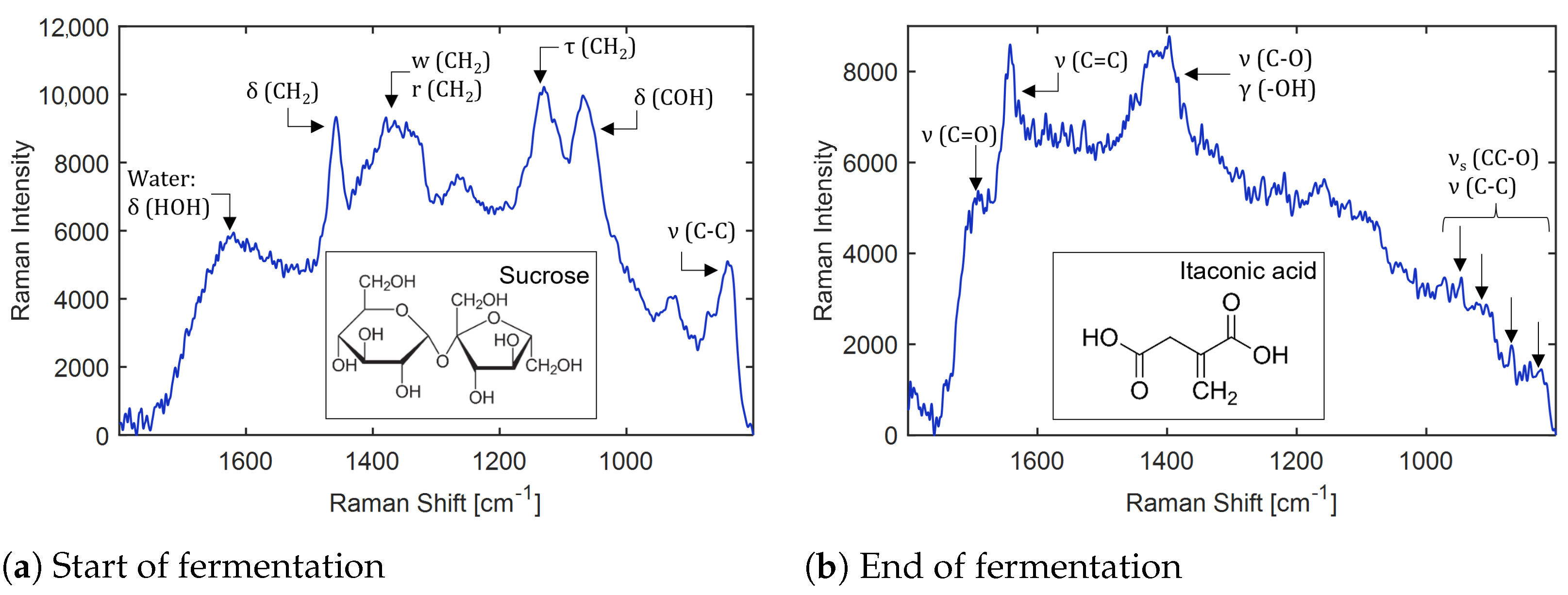 Bioengineering 10 00723 g007