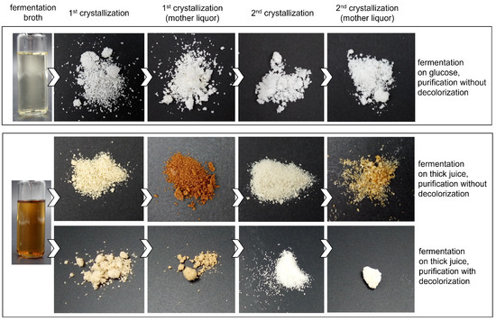 Bioengineering 10 00723 g0a11