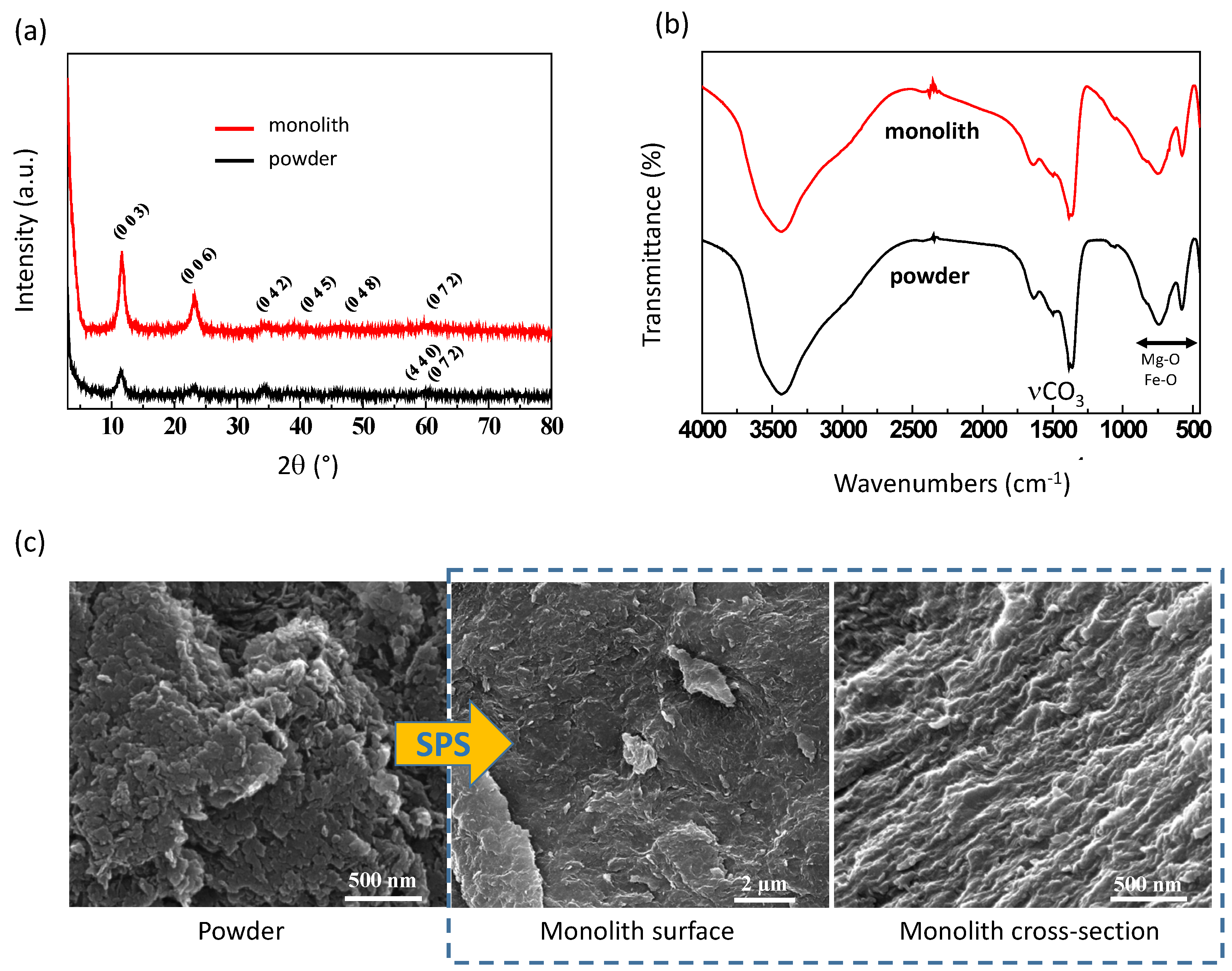 Bioengineering 10 00734 g001