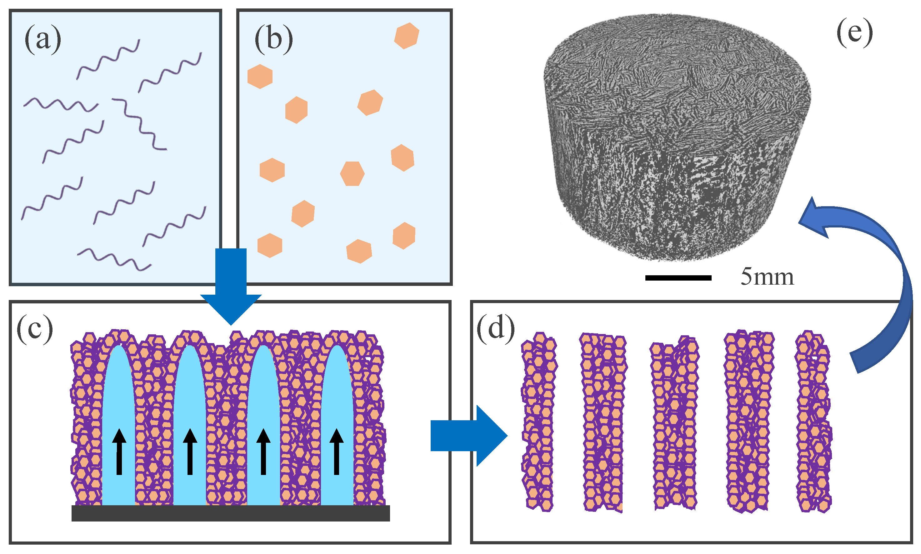 Bioengineering 10 00734 g002