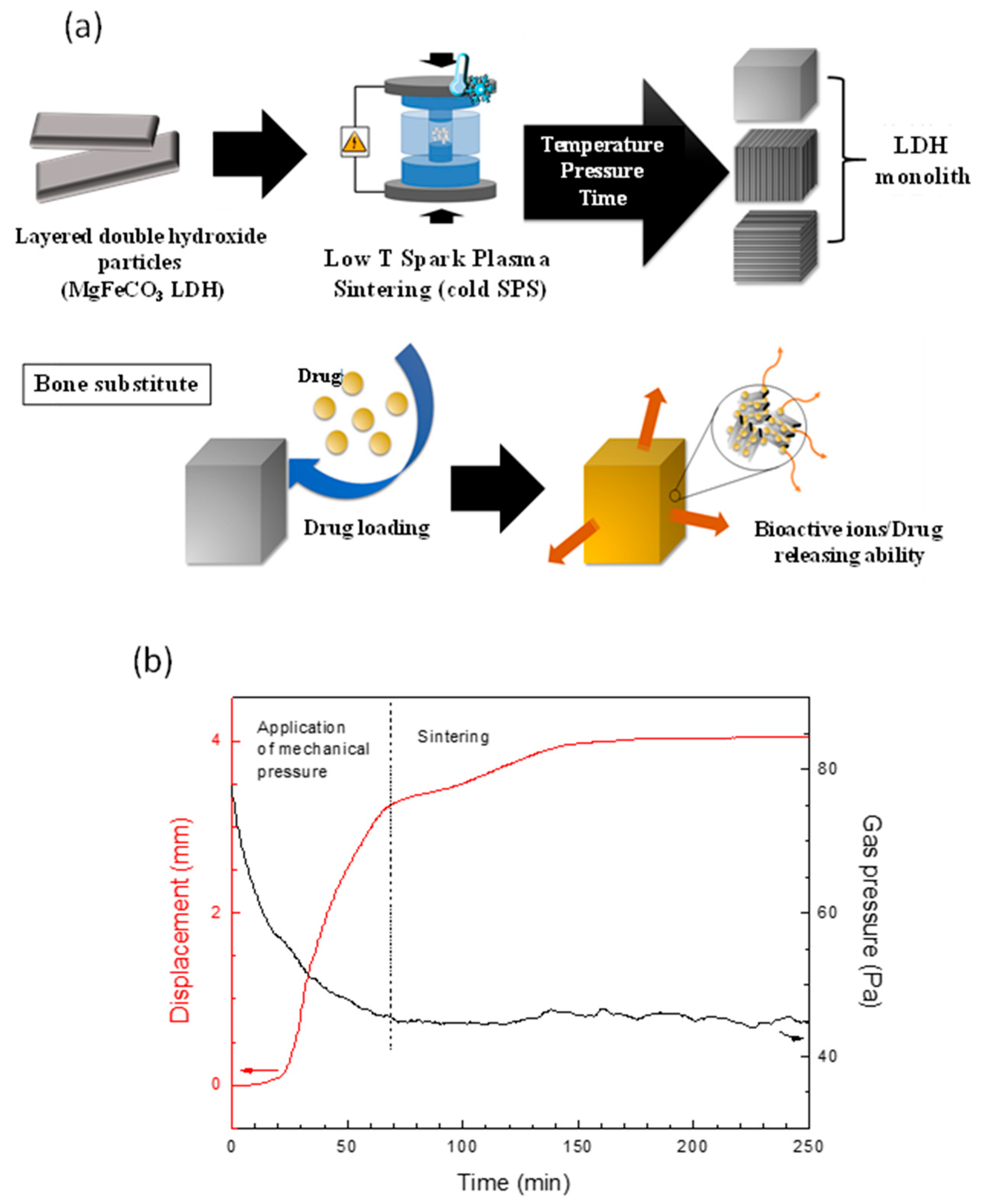 Bioengineering 10 00734 g004