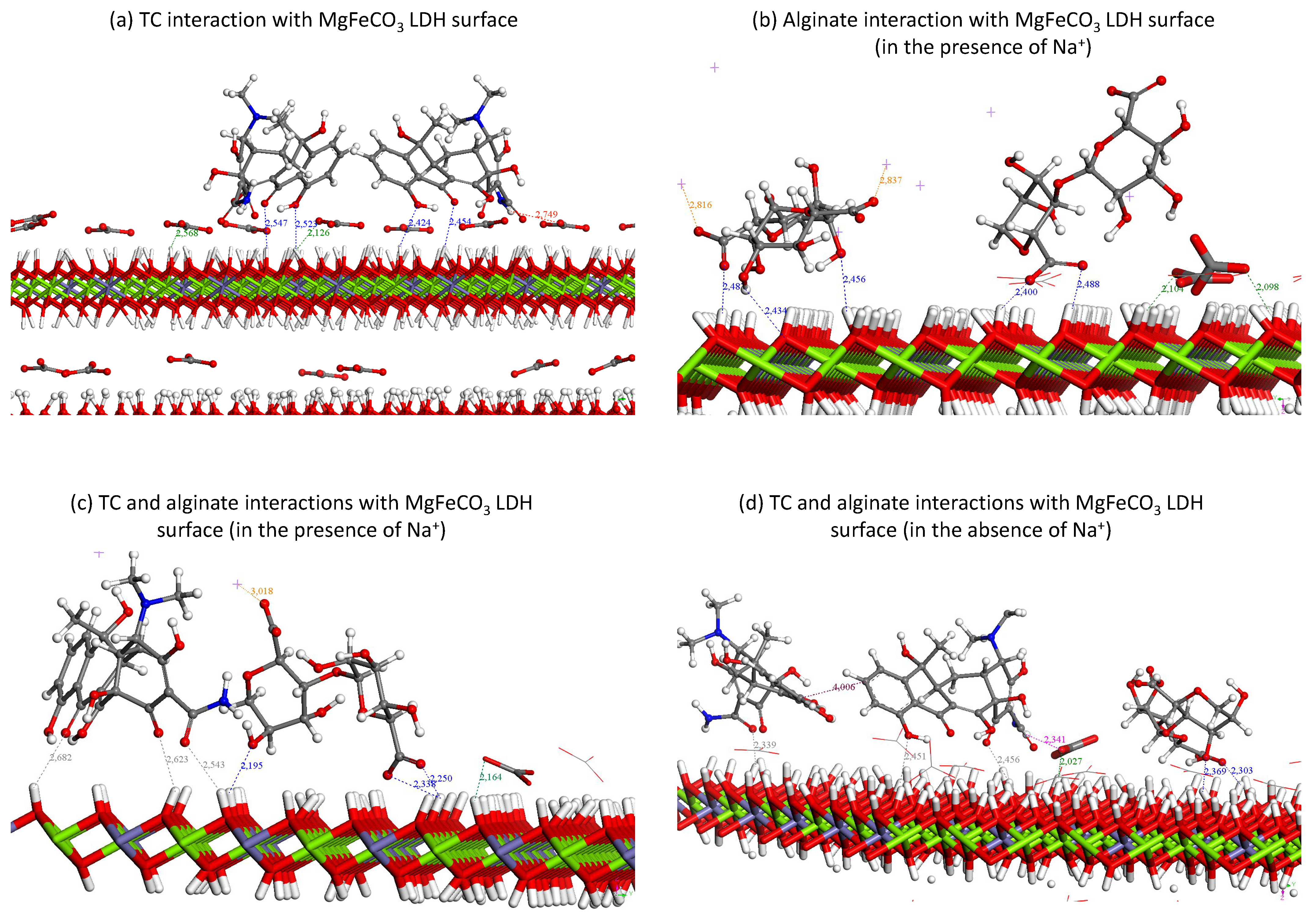 Bioengineering 10 00734 g007