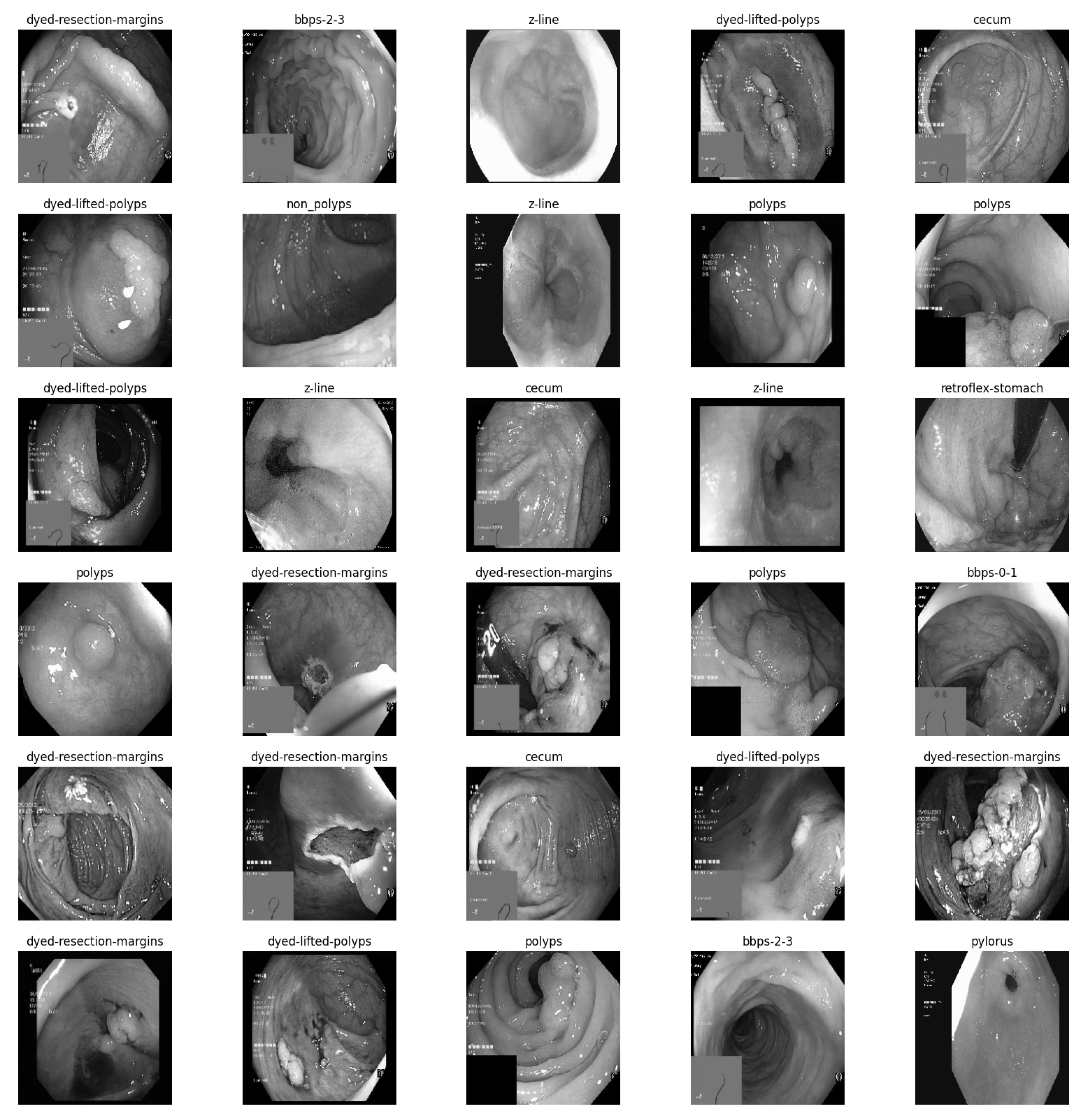 Bioengineering 10 00738 g003 Bioengineering 10 00738 g003