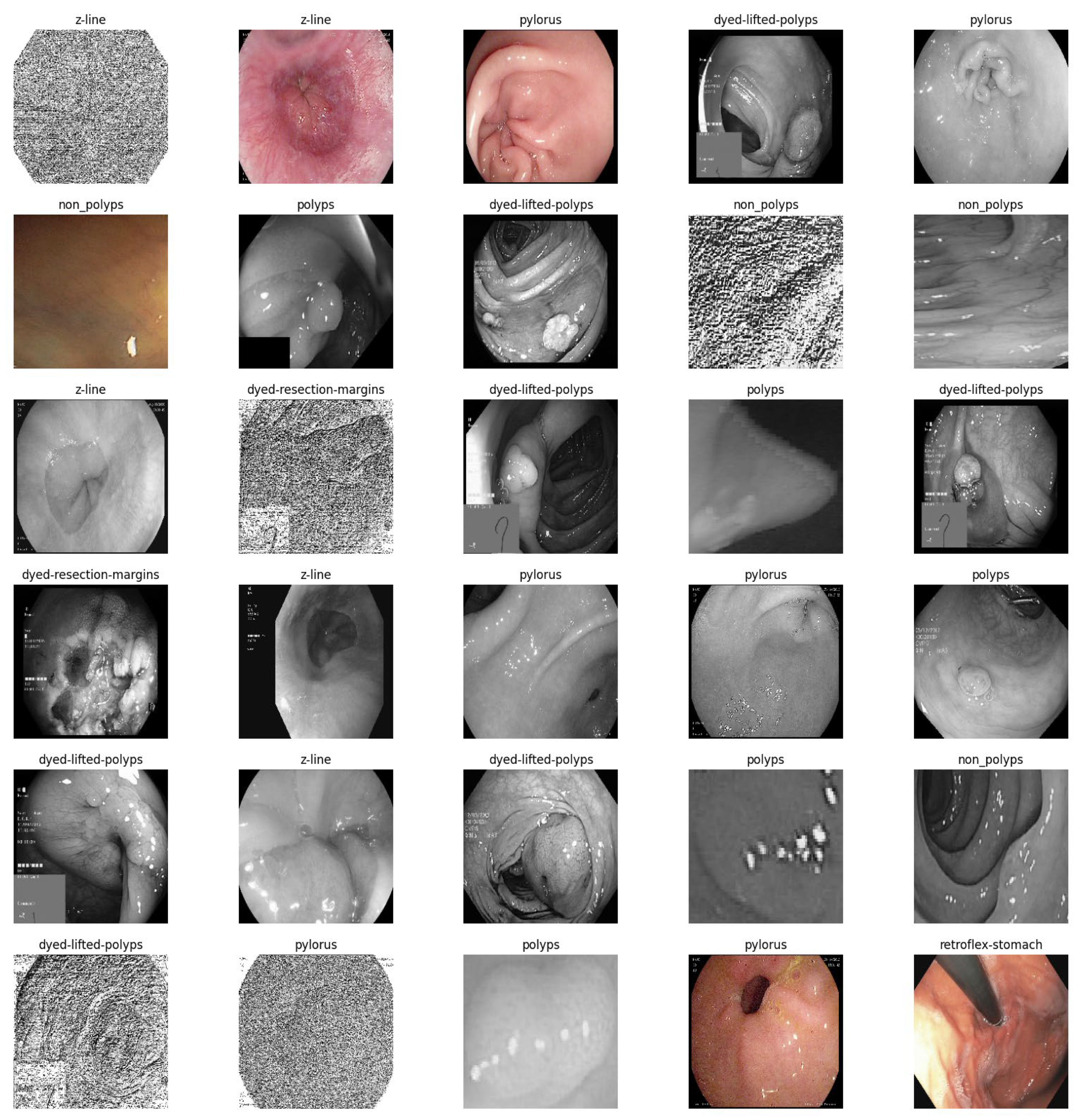 Bioengineering 10 00738 g005 Bioengineering 10 00738 g005