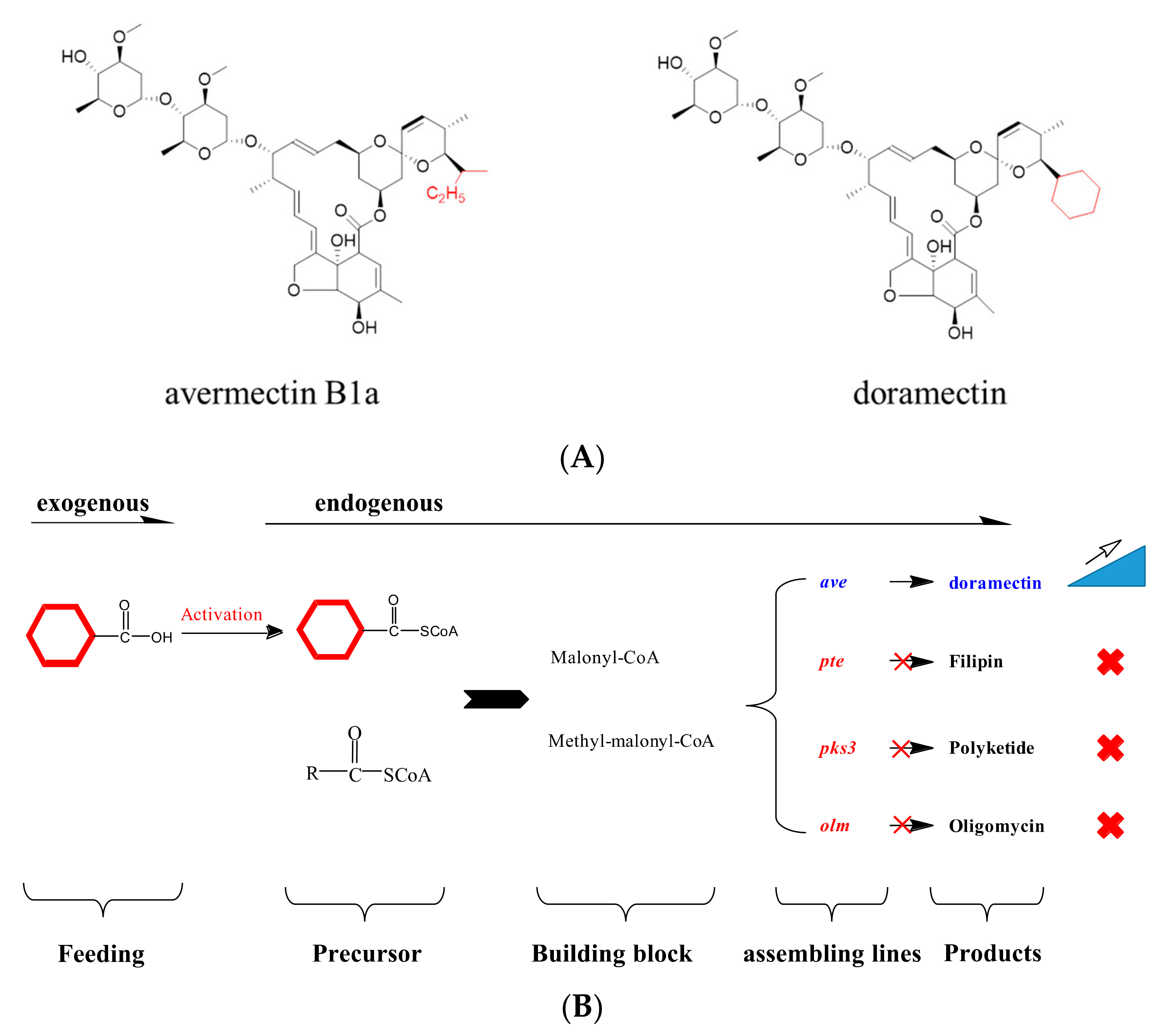 Bioengineering 10 00739 g001