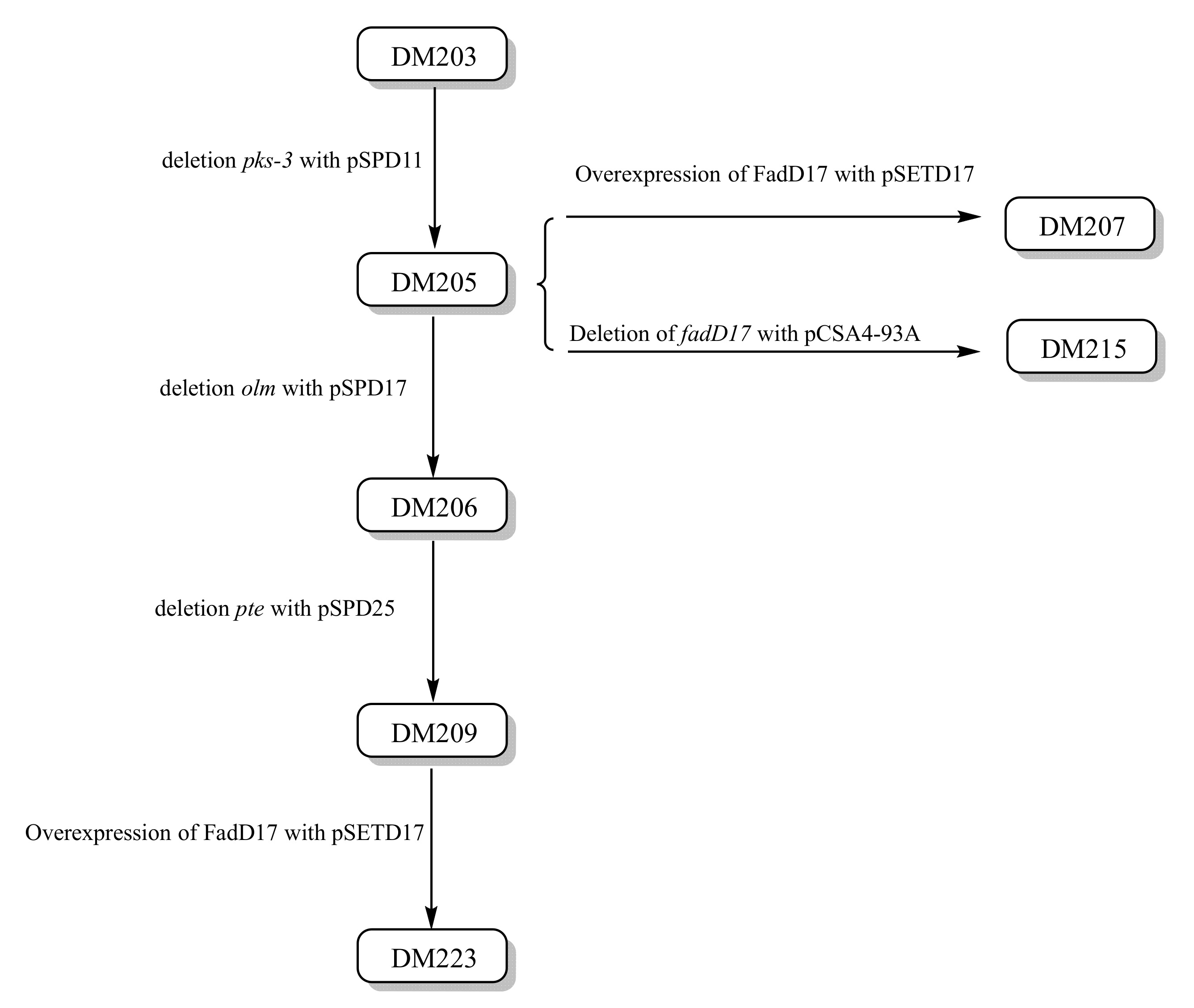Bioengineering 10 00739 g005