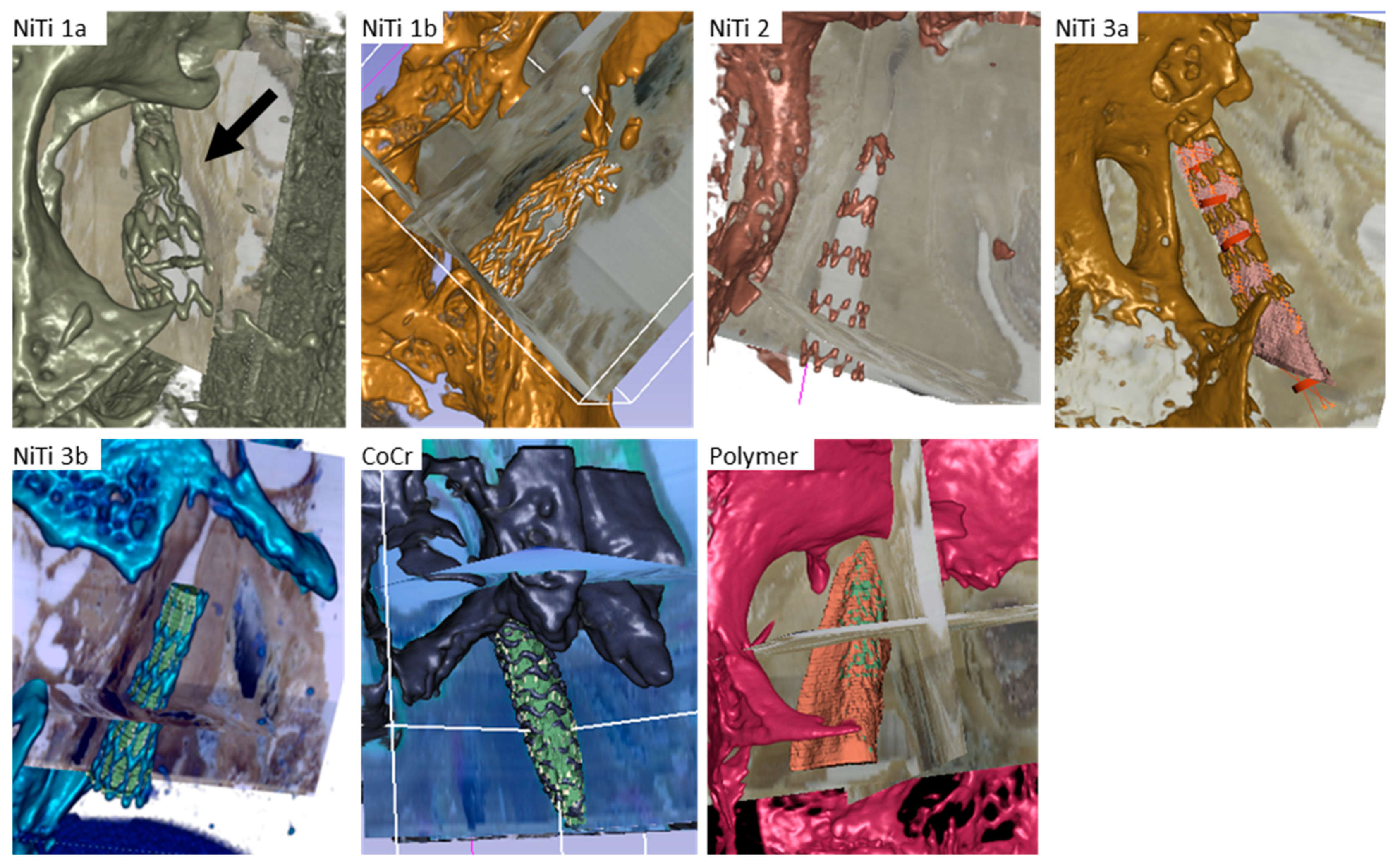 Bioengineering 10 00743 g003