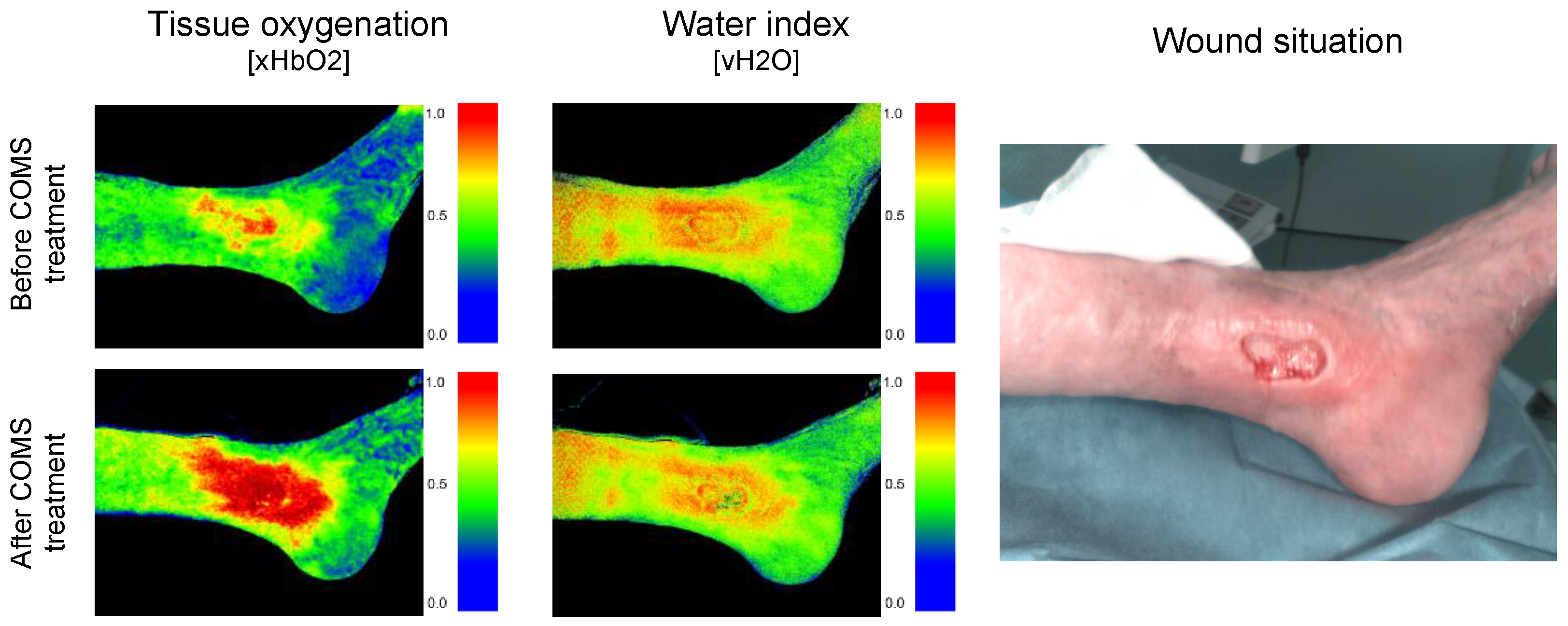 Bioengineering 10 00750 g003