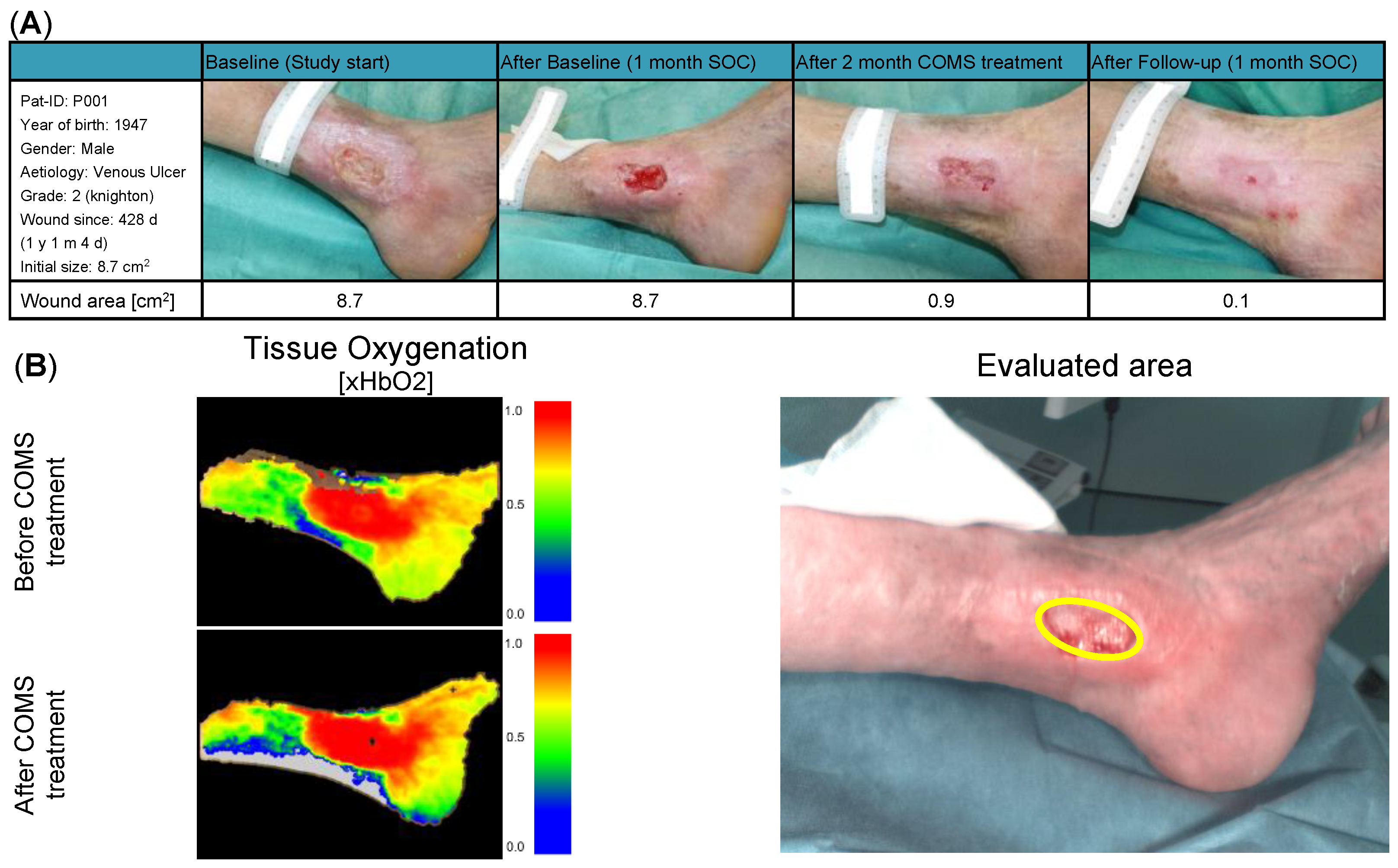 Bioengineering 10 00750 g004