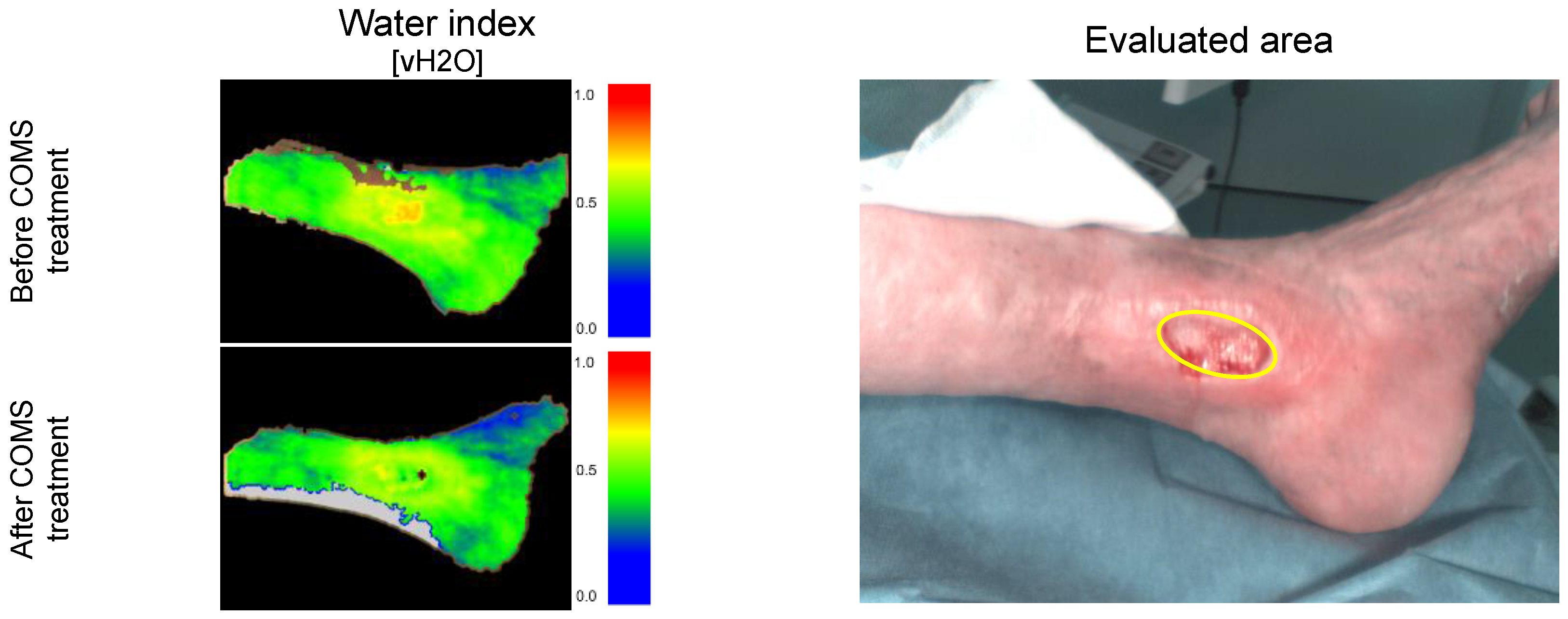 Bioengineering 10 00750 g006
