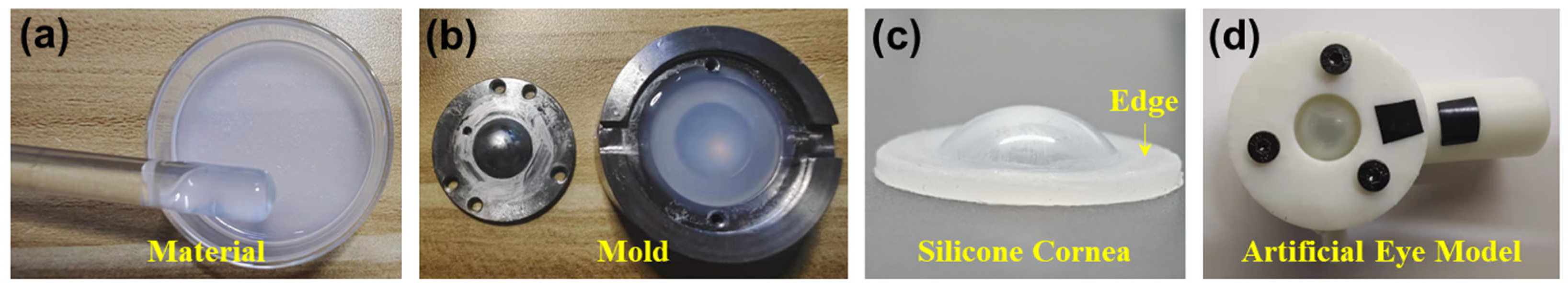 Bioengineering 10 00754 g001