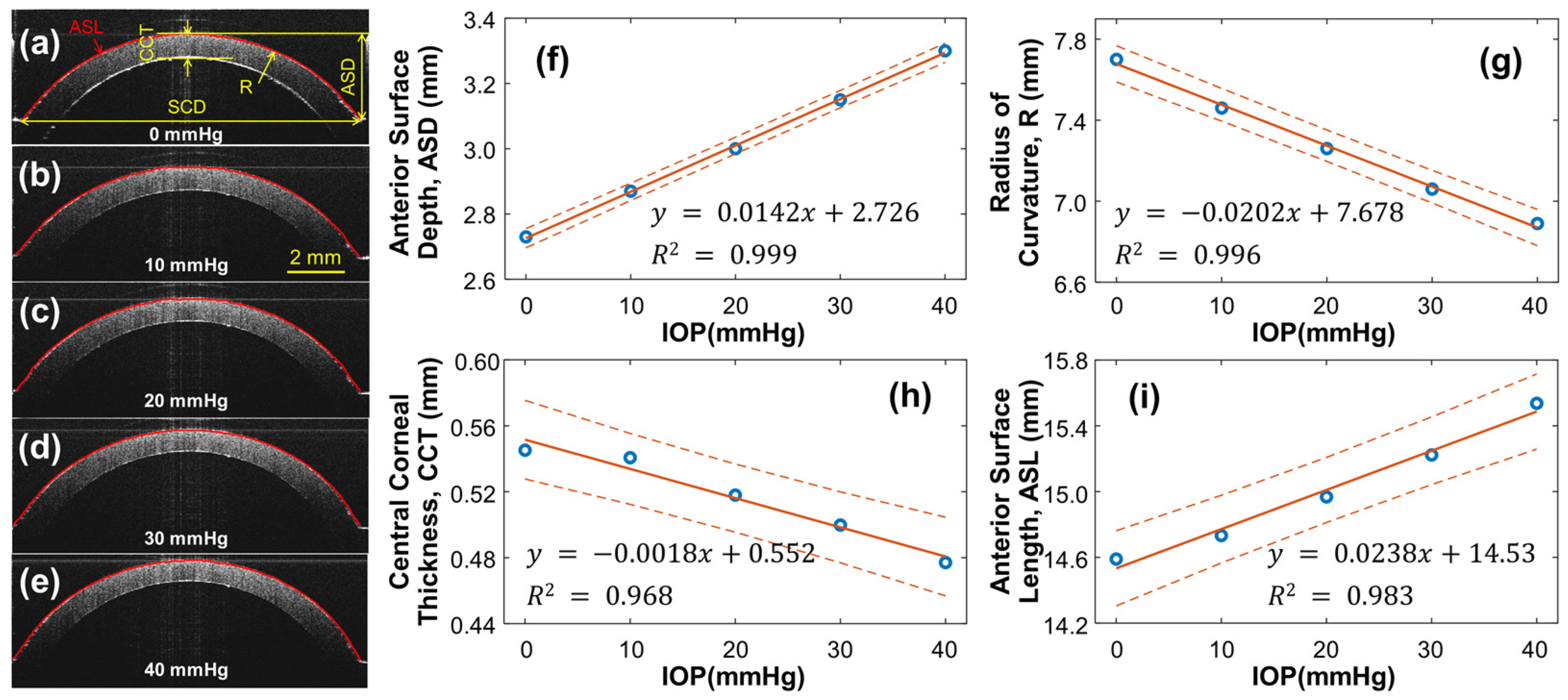 Bioengineering 10 00754 g004