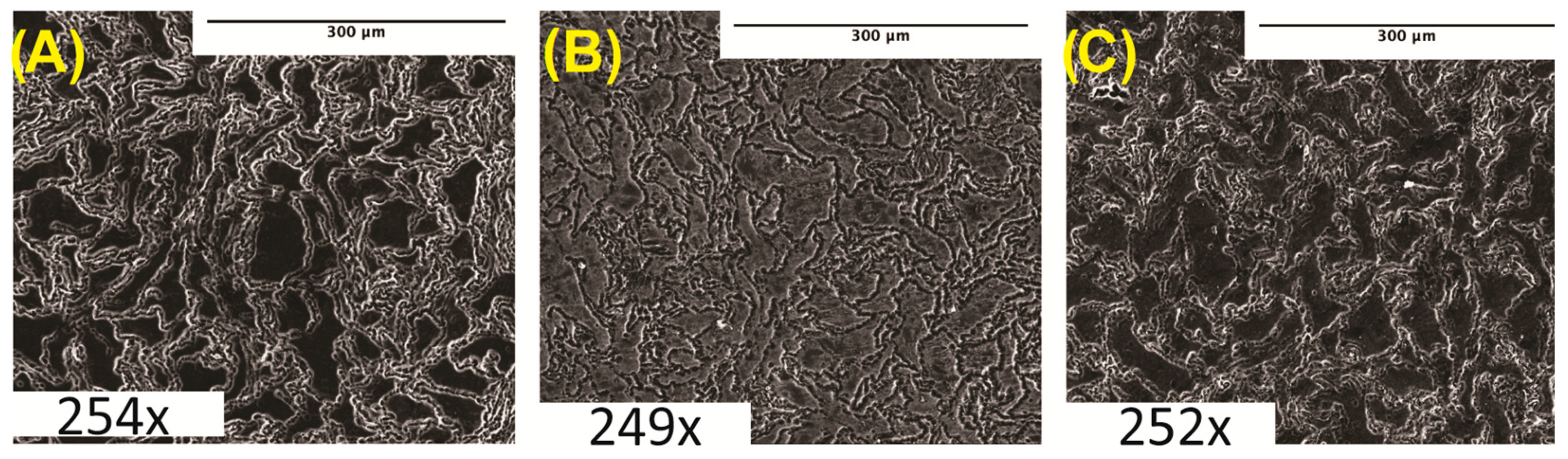 Bioengineering 10 00757 g001 Bioengineering 10 00757 g001