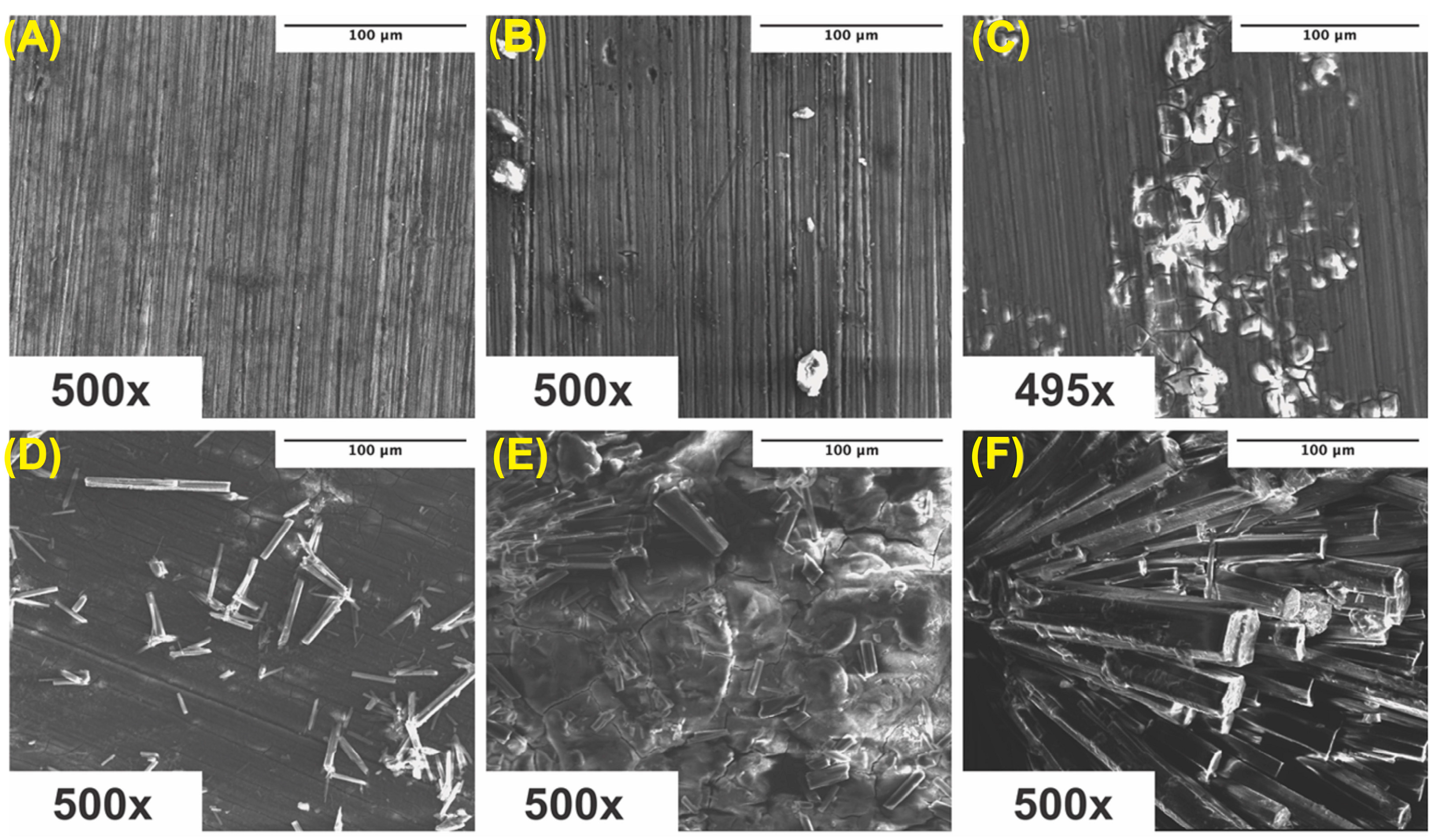 Bioengineering 10 00757 g007 Bioengineering 10 00757 g007