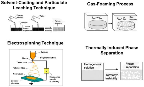 Bioengineering 10 00759 g003