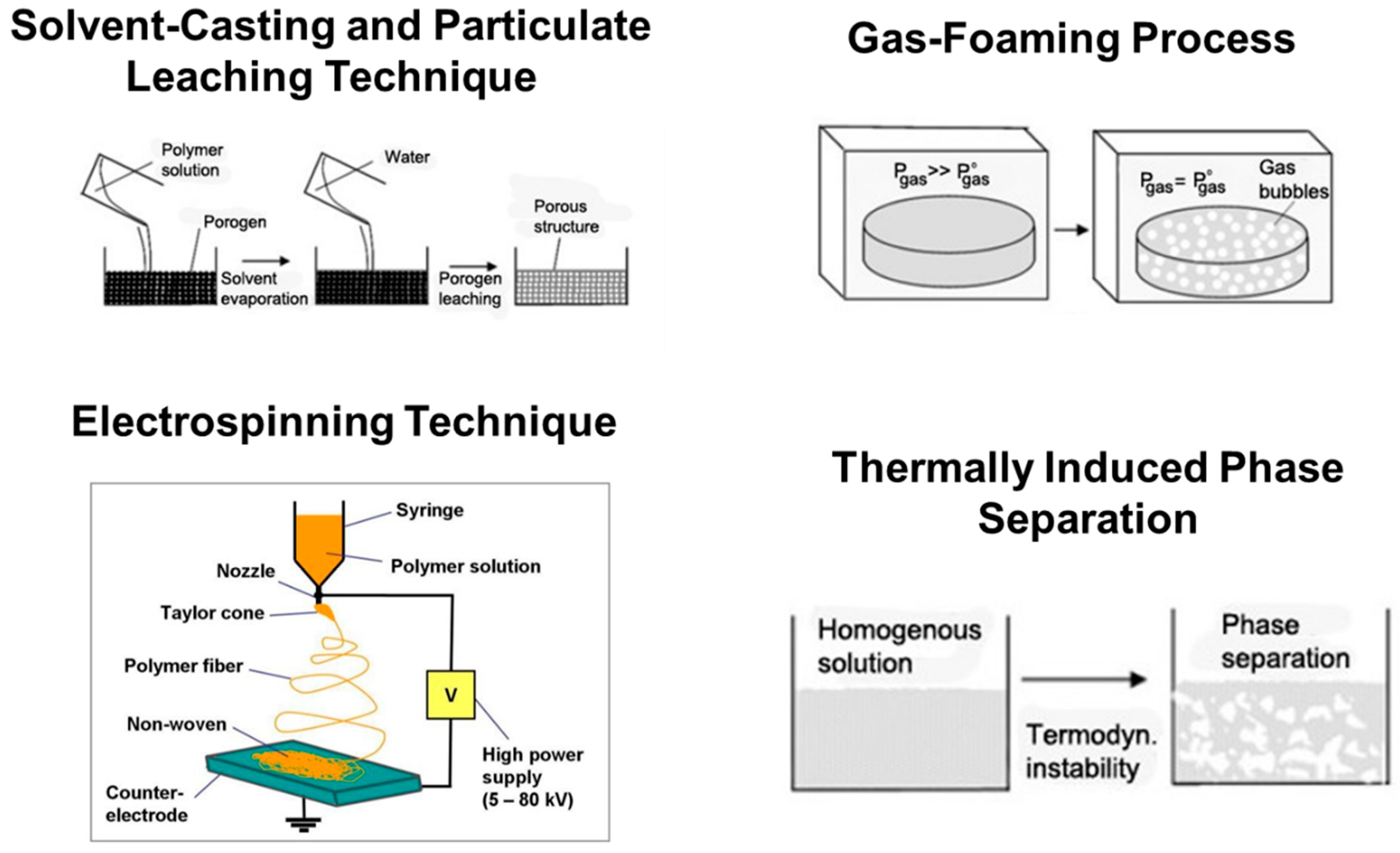 Bioengineering 10 00759 g003 Bioengineering 10 00759 g003