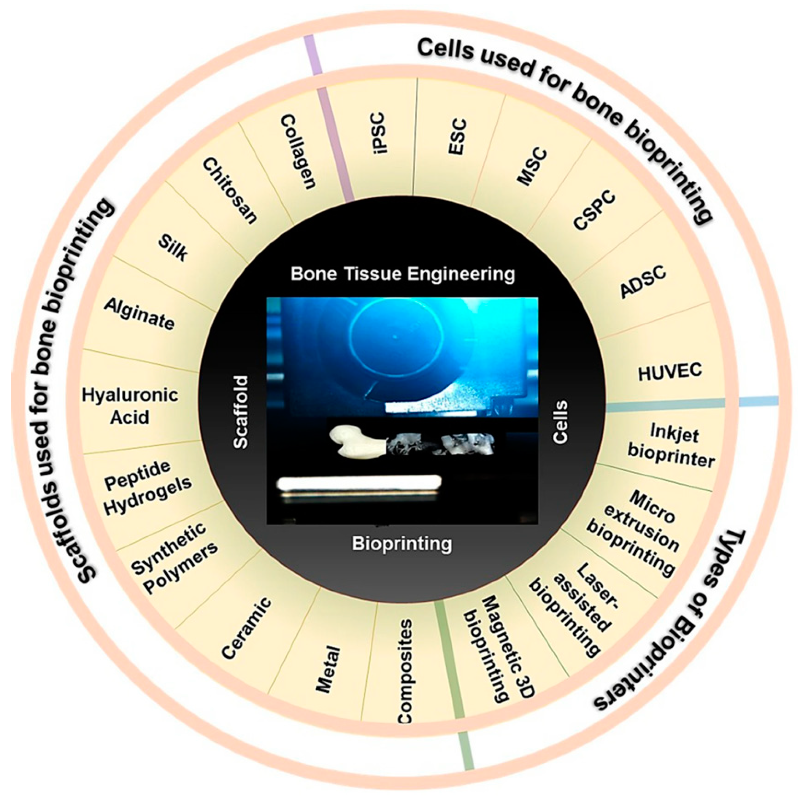 Bioengineering 10 00759 g006 Bioengineering 10 00759 g006
