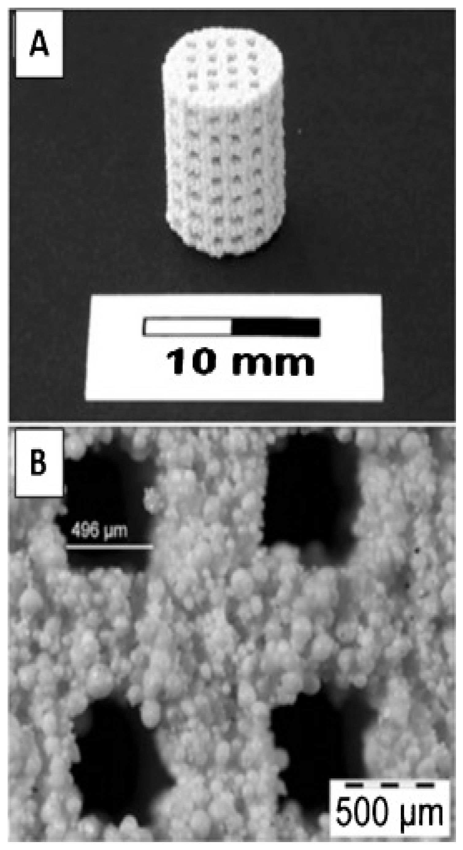 Bioengineering 10 00759 g007 Bioengineering 10 00759 g007
